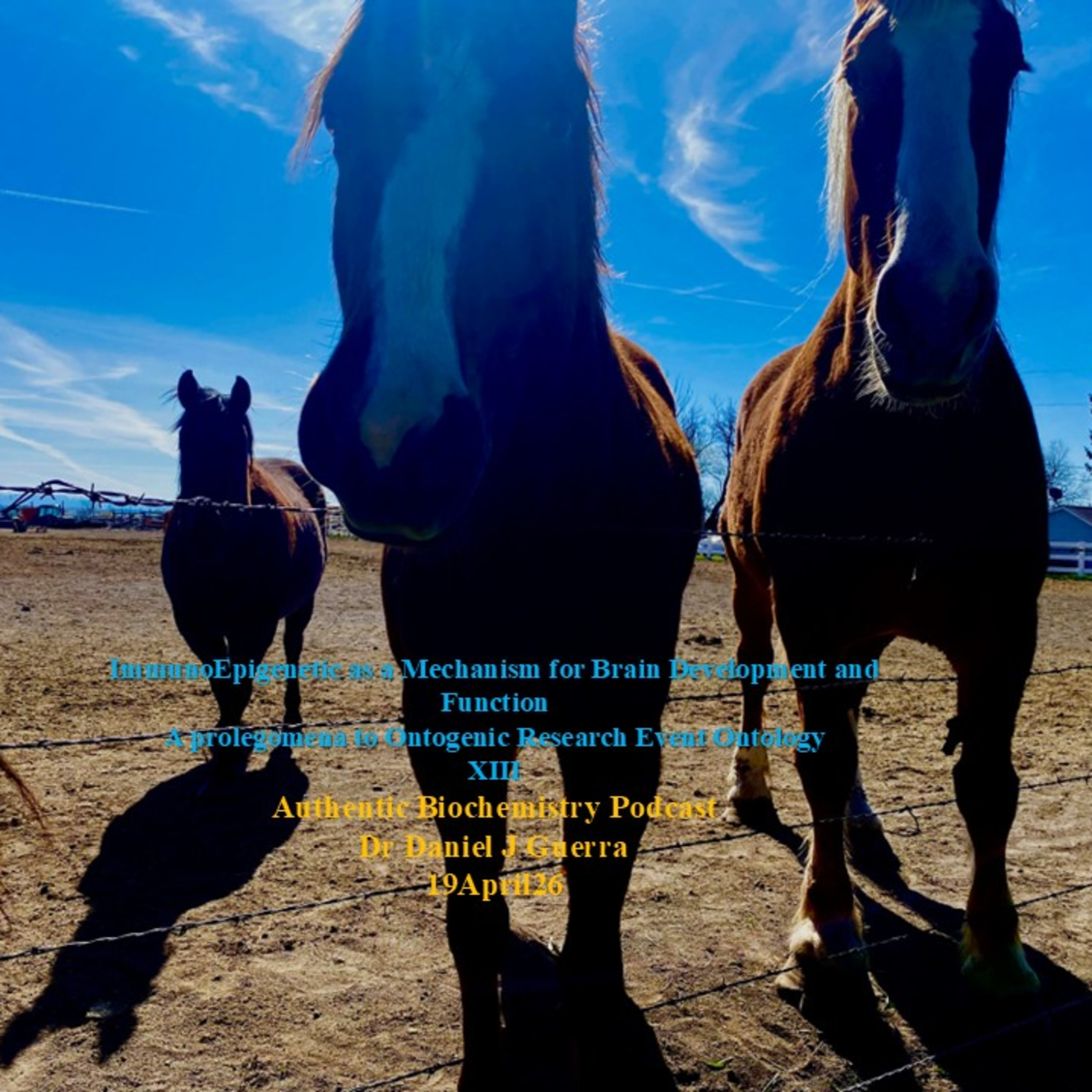 ImmunoEpigenetic as a Mechanism for Brain Development and Function A prolegomena to Ontogenic Research Event Ontology XIII. Authentic Biochemistry Podcast Dr Daniel J Guerra 19April26