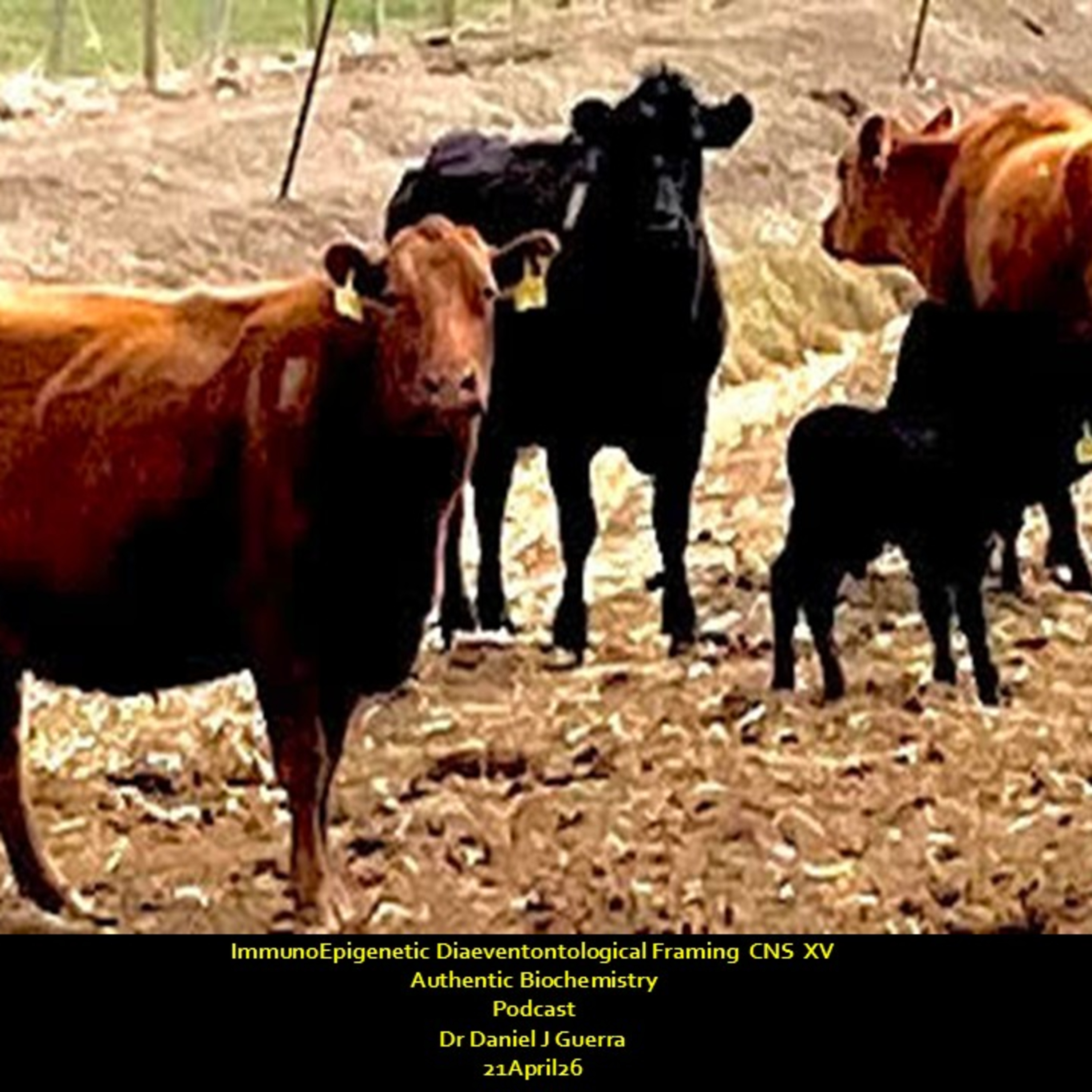 ImmunoEpigenetic Diaeventontological Framing CNS XV Authentic Biochemistry Podcast Dr Daniel J Guerra 21April26