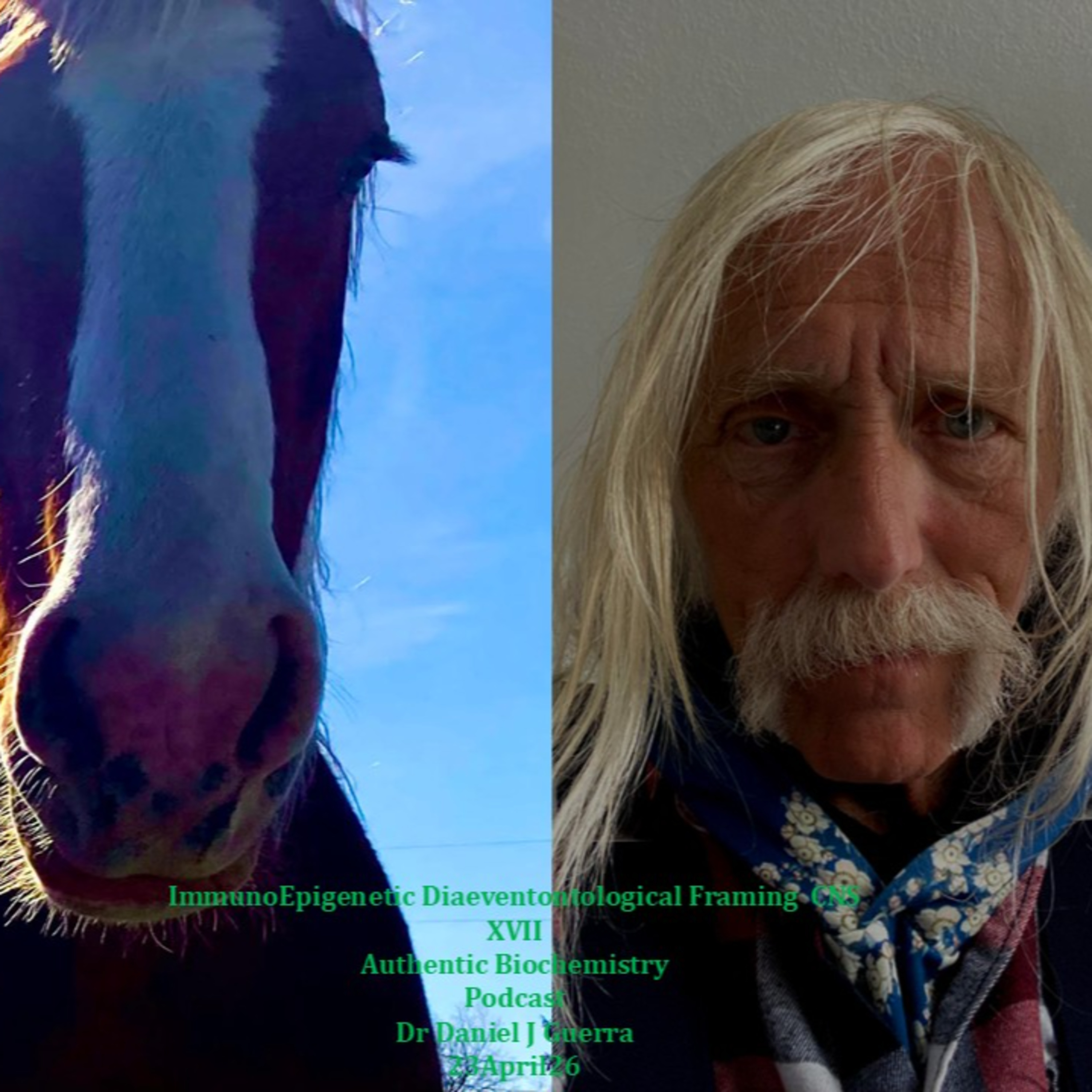 ImmunoEpigenetic Diaeventontological Framing CNS XVII Authentic Biochemistry Podcast Dr Daniel J Guerra 23April26