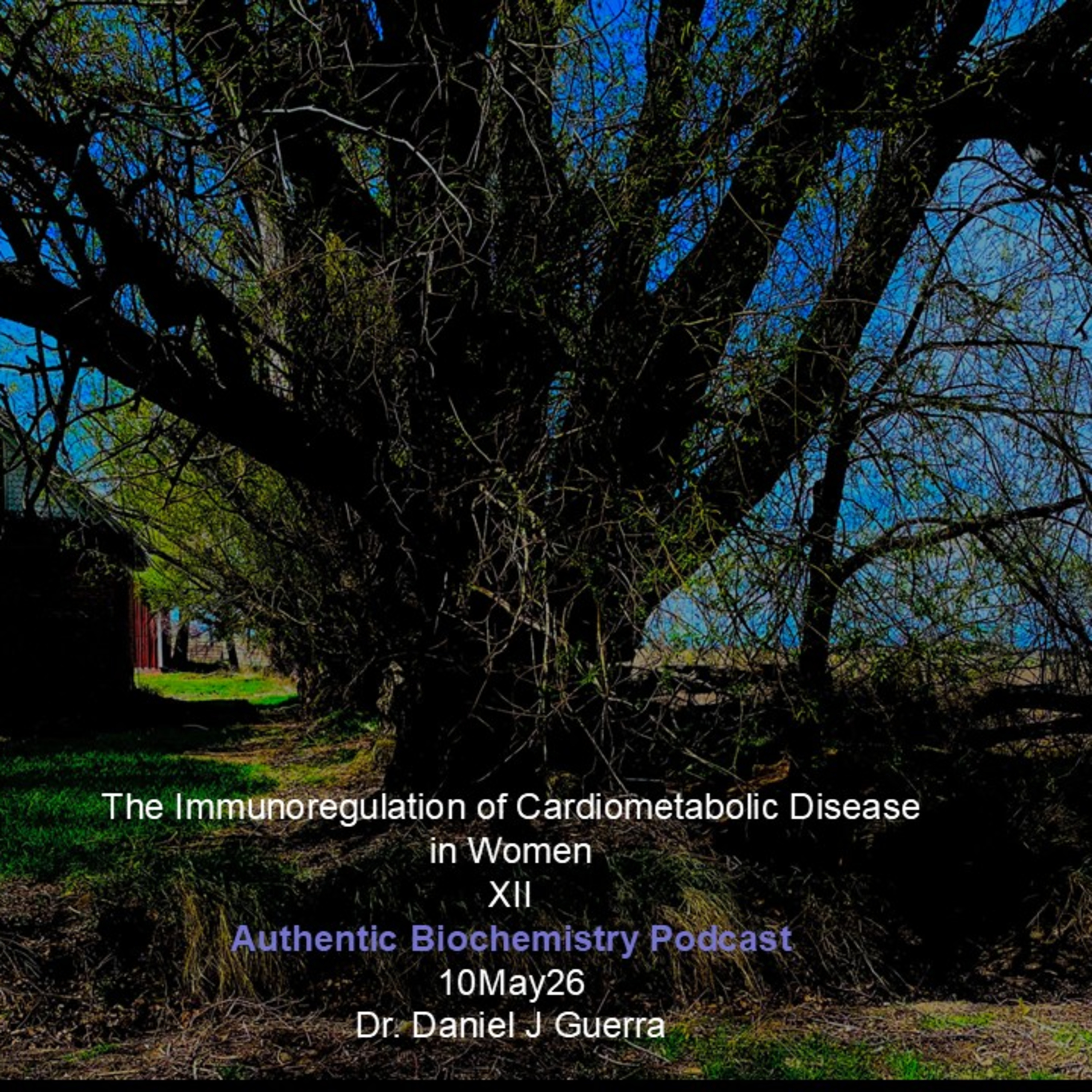 The Immunoregulation of Cardiometabolic Diseasein WomenXII Authentic Biochemistry Podcast10May26Dr. Daniel J Guerra