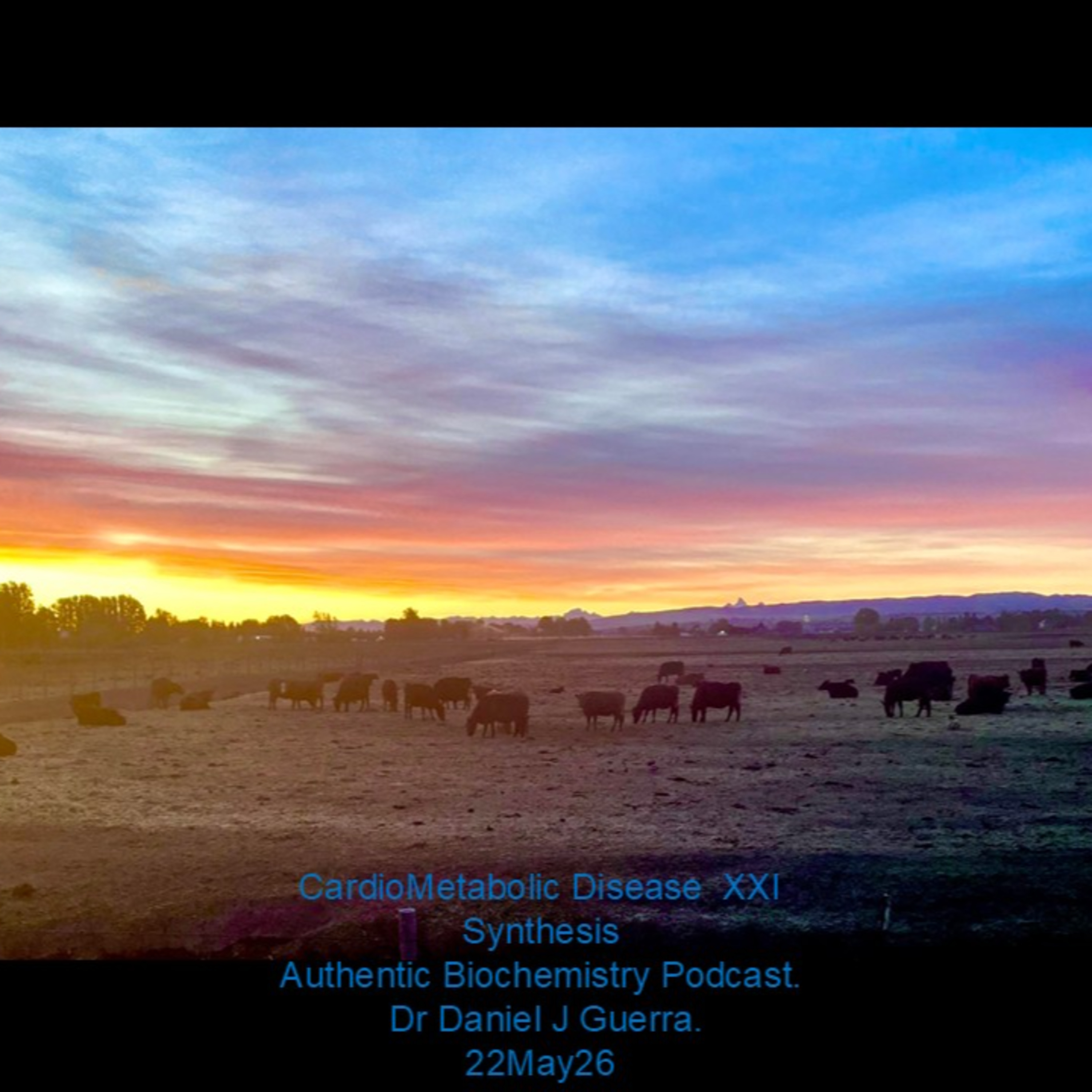 CardioMetabolic Disease XXI Synthesis Authentic Biochemistry Podcast. Dr Daniel J Guerra. 22May26