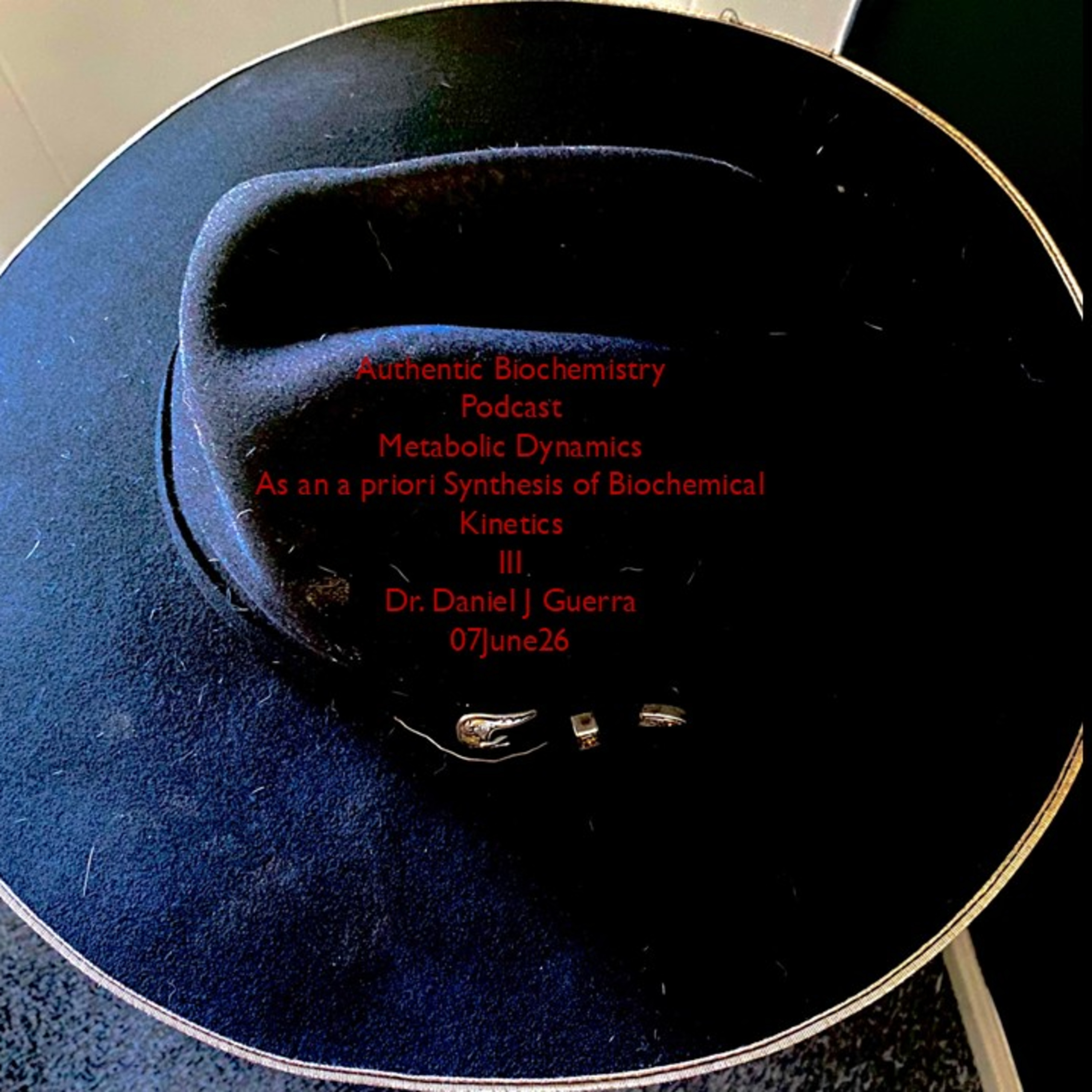 Authentic Biochemistry Podcast Metabolic Dynamics As an a priori Synthesis of Biochemical Kinetics III Dr. Daniel J Guerra 07June26