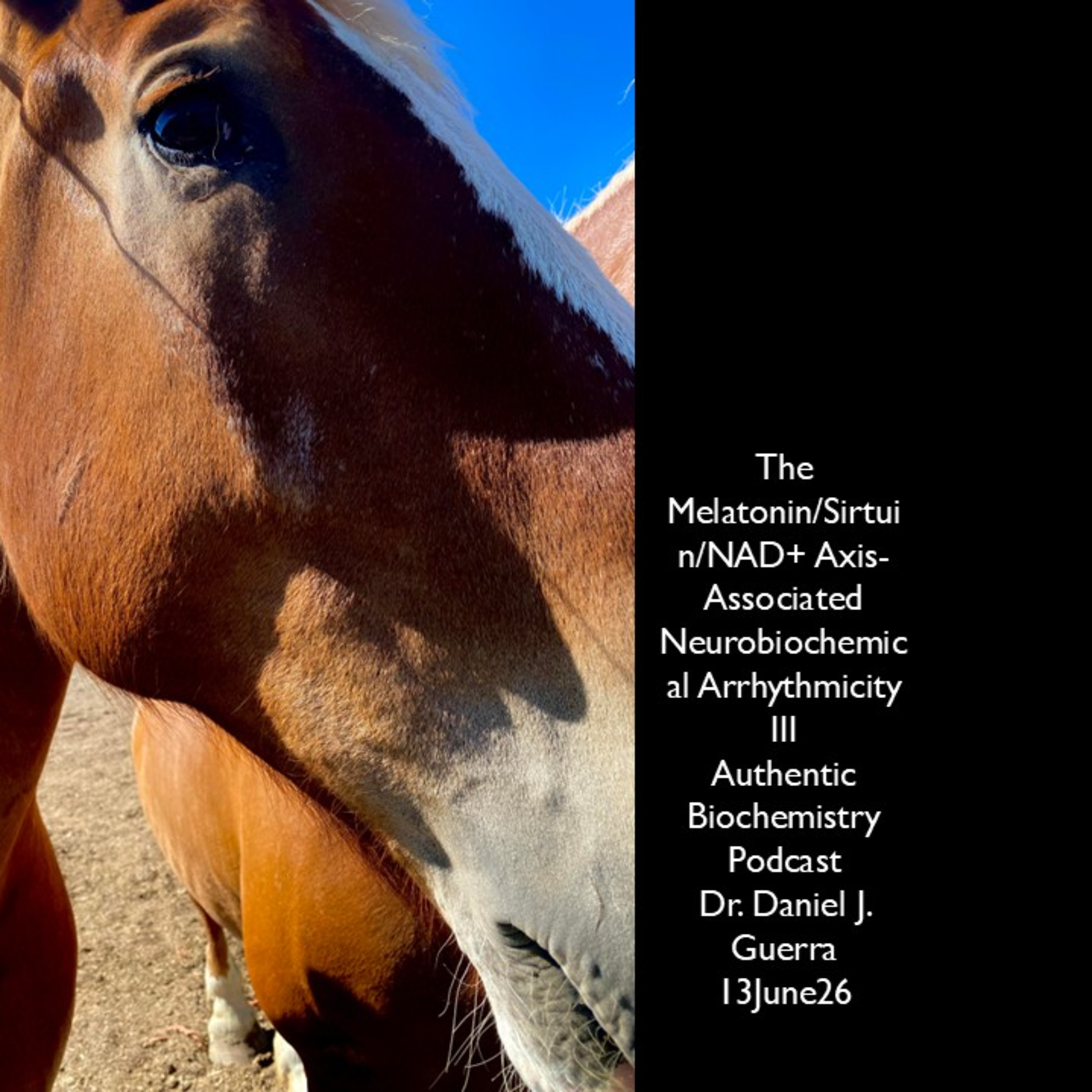 The Melatonin/Sirtuin/NAD+ Axis-Associated Neurobiochemical Arrhythmicity III Authentic Biochemistry Podcast Dr. Daniel J. Guerra 13June26