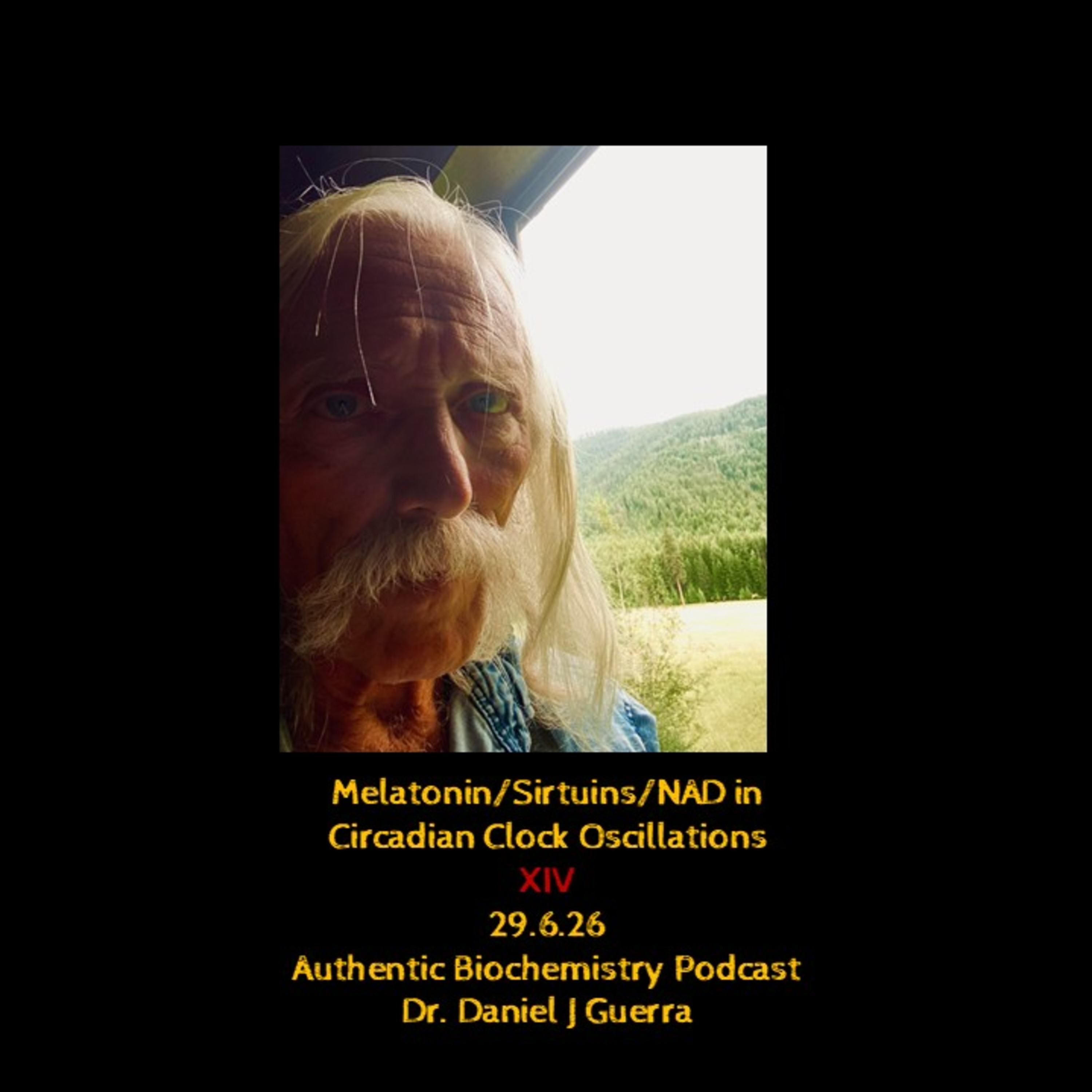 Melatonin/Sirtuins/NAD in Circadian Clock Oscillations XIV 29.6.26 Authentic Biochemistry Podcast Dr. Daniel J Guerra