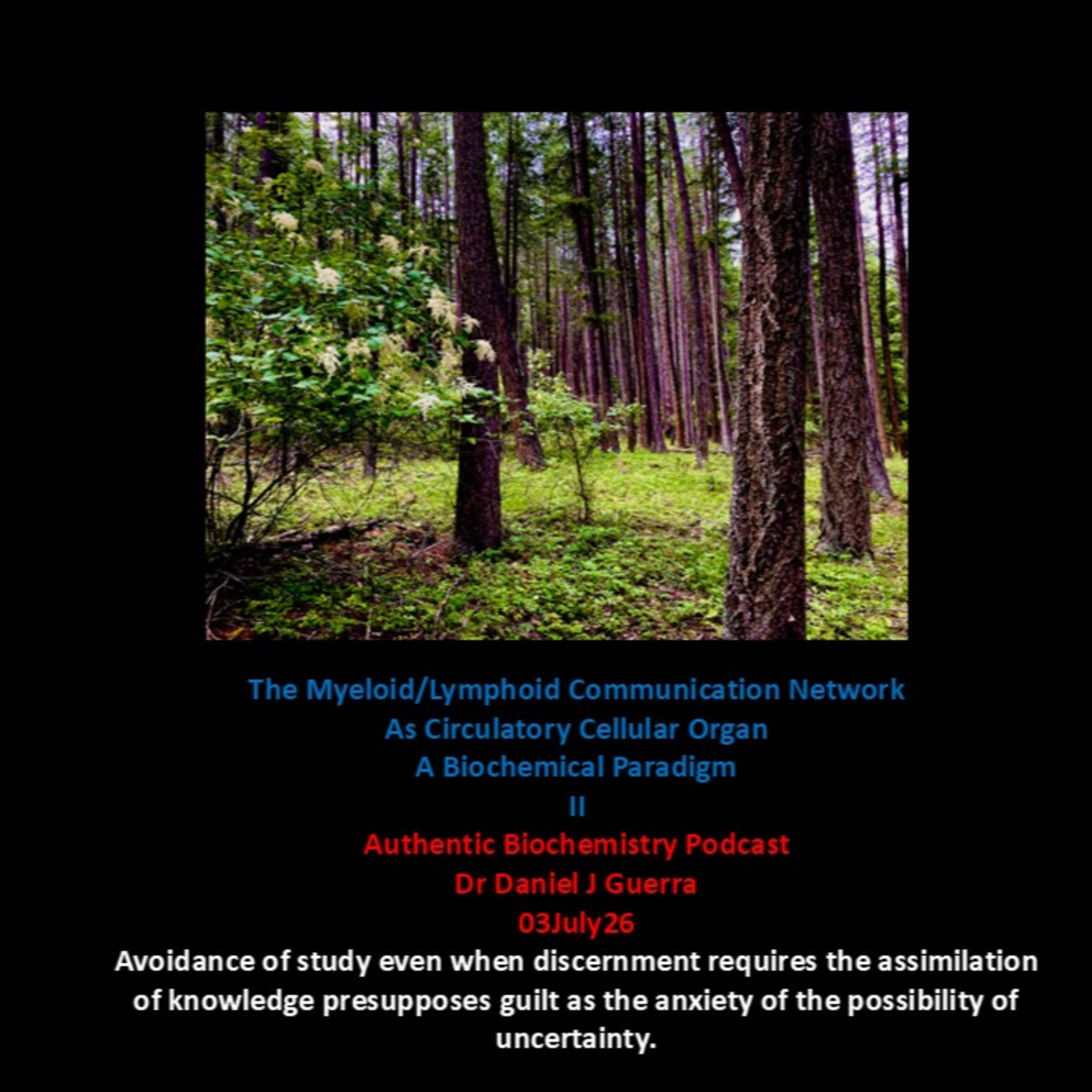 The Myeloid/Lymphoid Communication Network As Circulatory Cellular Organ A Biochemical Paradigm II Authentic Biochemistry Podcast Dr Daniel J Guerra 03July26 