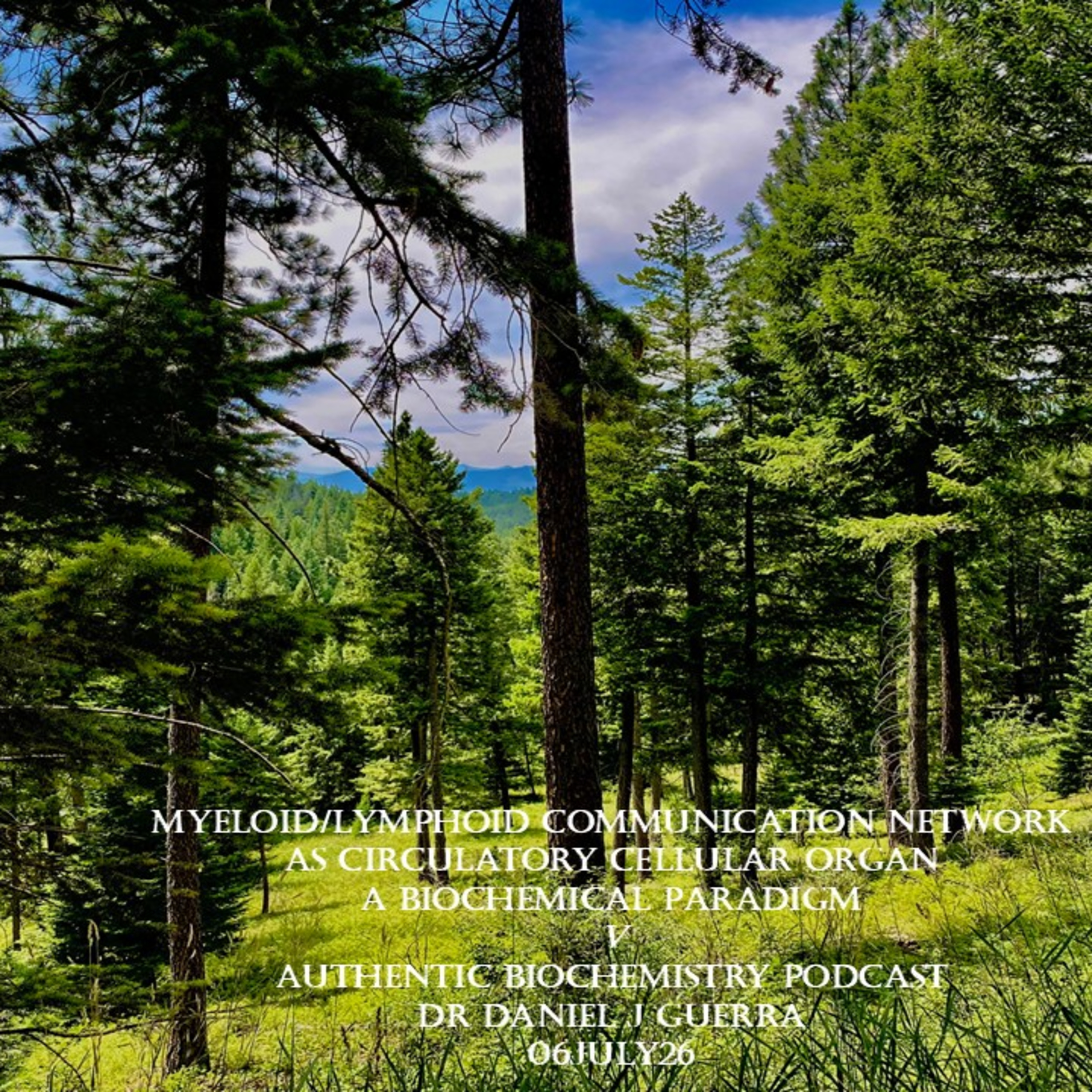 Myeloid/Lymphoid Communication Network As Circulatory Cellular Organ A Biochemical Paradigm V Authentic Biochemistry Podcast Dr Daniel J Guerra 06July26