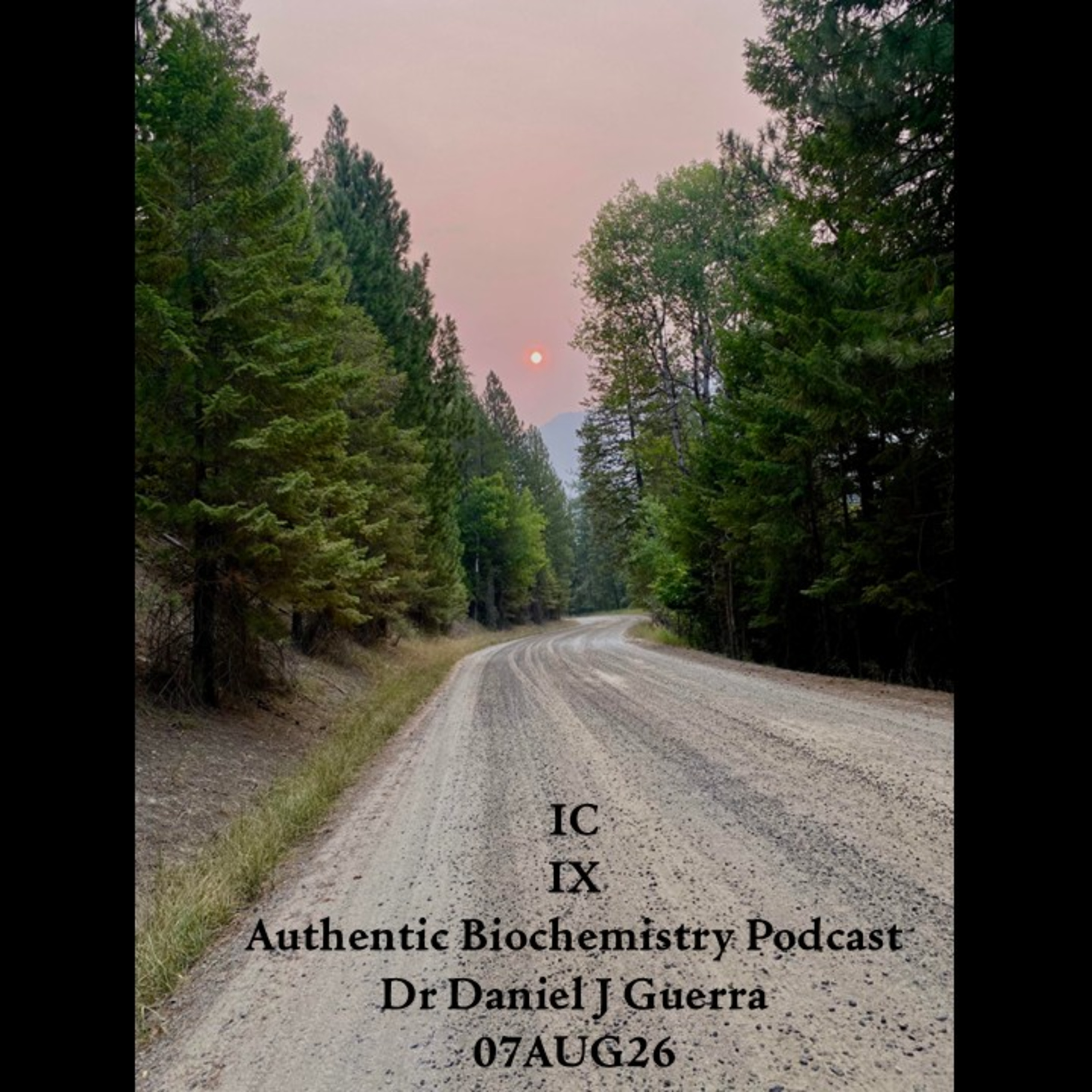 Artwork for Authentic Biochemistry