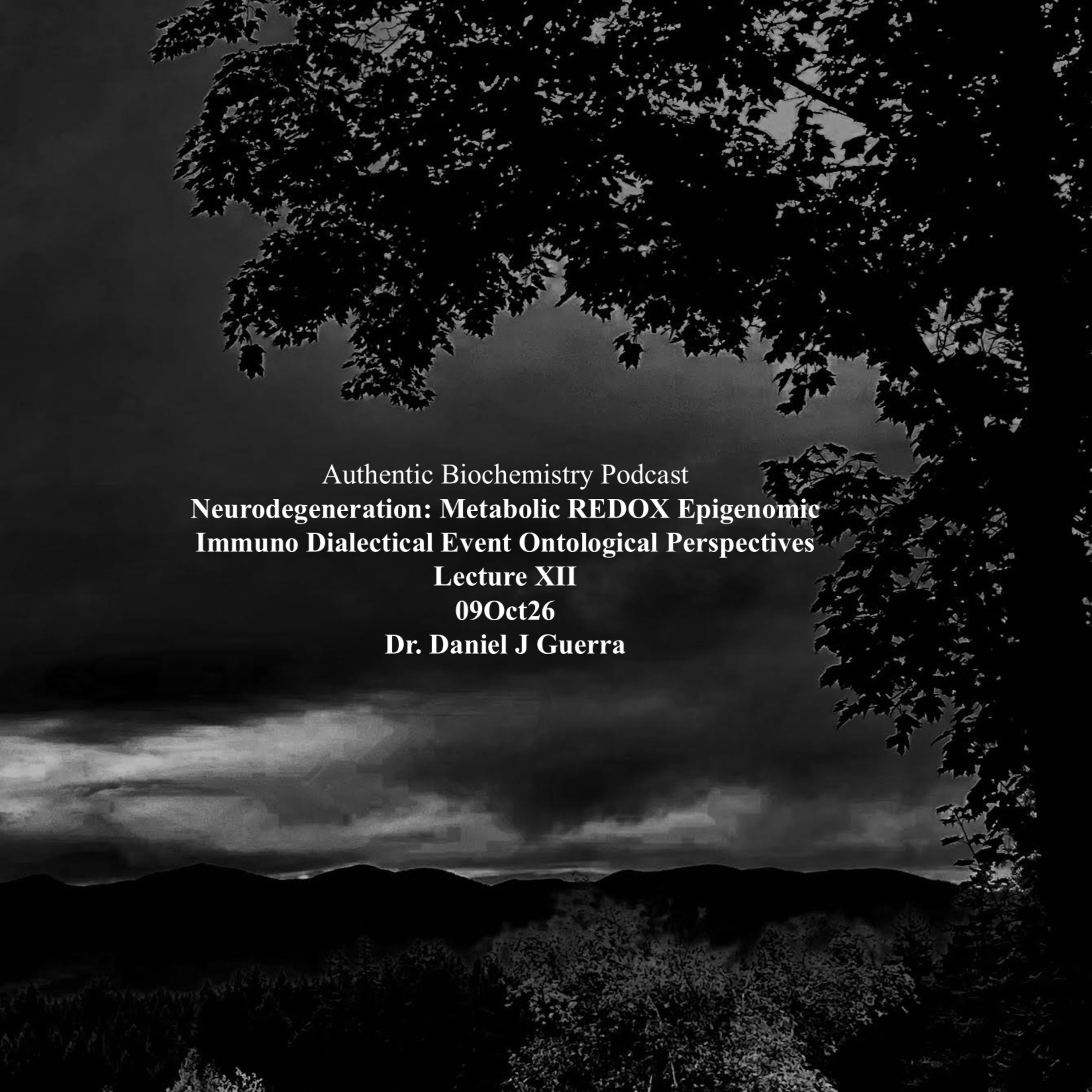 Authentic Biochemistry Podcast Neurodegeneration: Metabolic REDOX Epigenomic Immuno Dialectical Event Ontological Perspectives Lecture XII 09Oct26 Dr. Daniel J Guerra