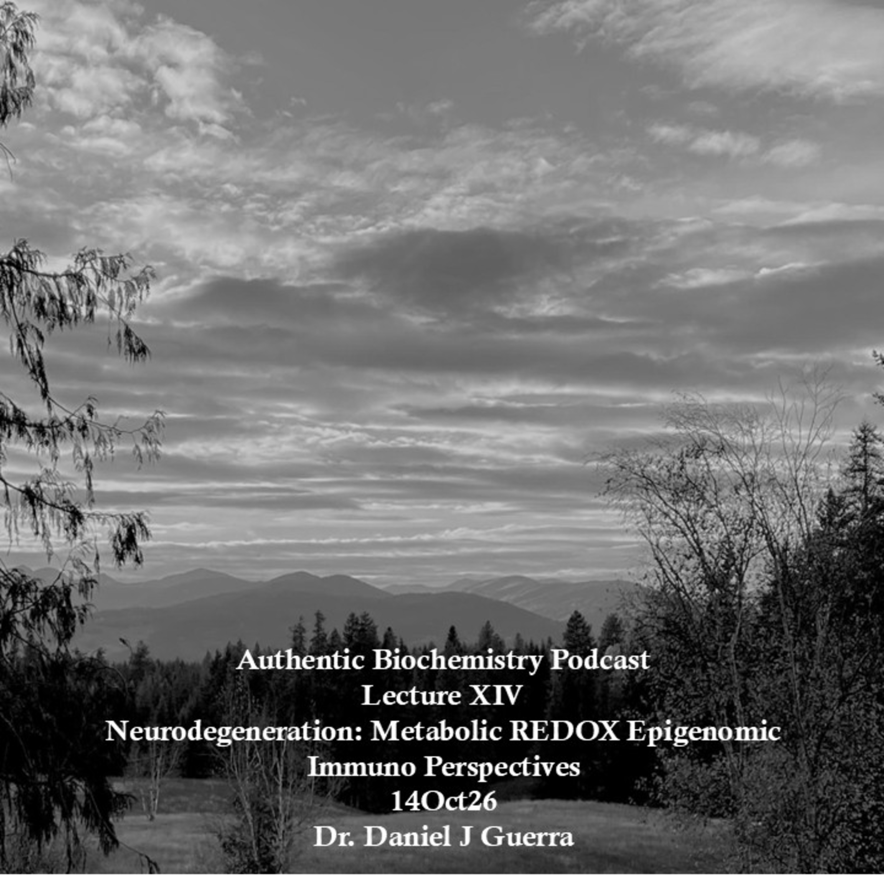Authentic Biochemistry Podcast Lecture XIV Neurodegeneration: Metabolic REDOX Epigenomic Immuno Perspectives 14Oct26 Dr. Daniel J Guerra episode artwork