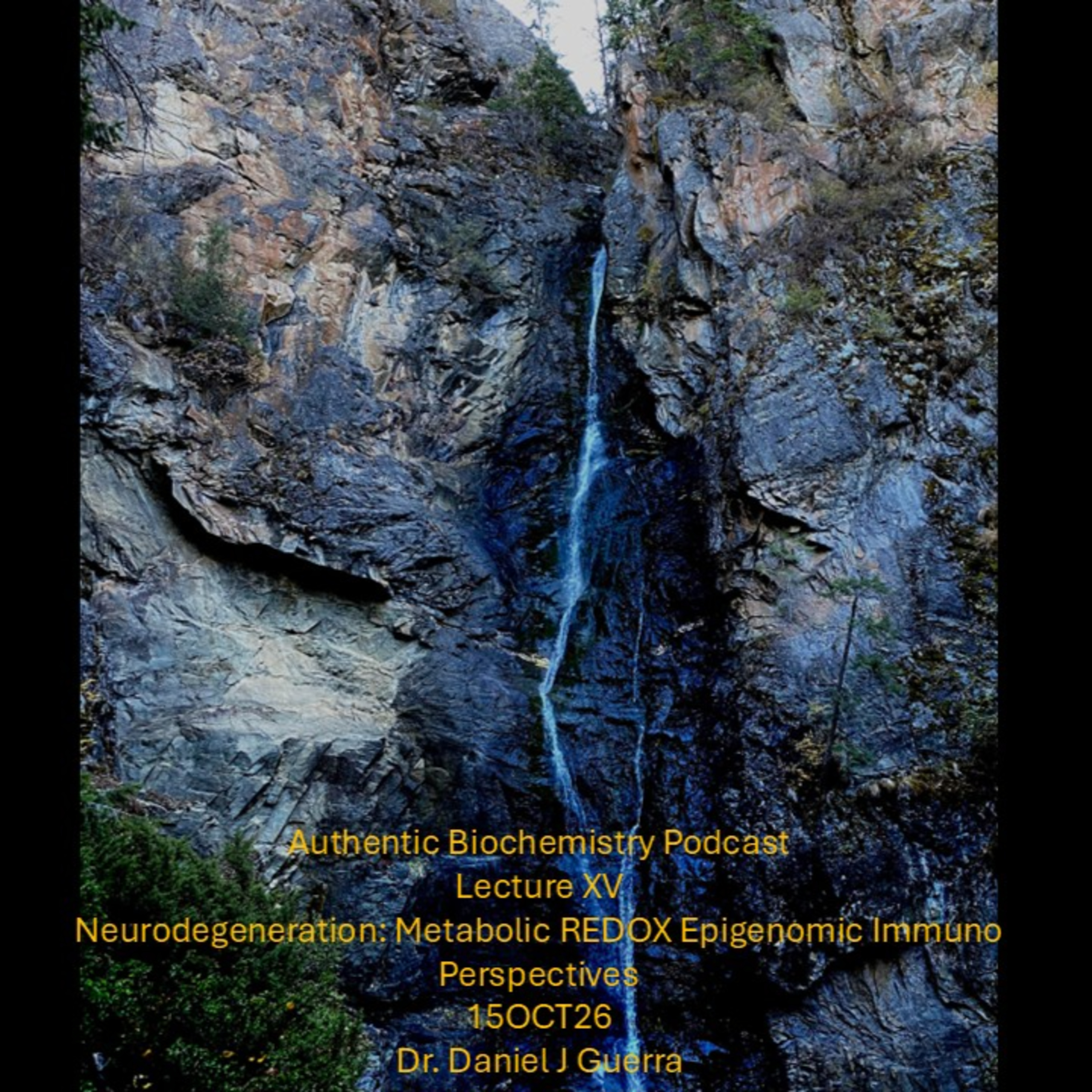 Authentic Biochemistry Podcast Lecture XV Neurodegeneration: Metabolic REDOX Epigenomic Immuno Perspectives 15OCT26 Dr. Daniel J Guerra