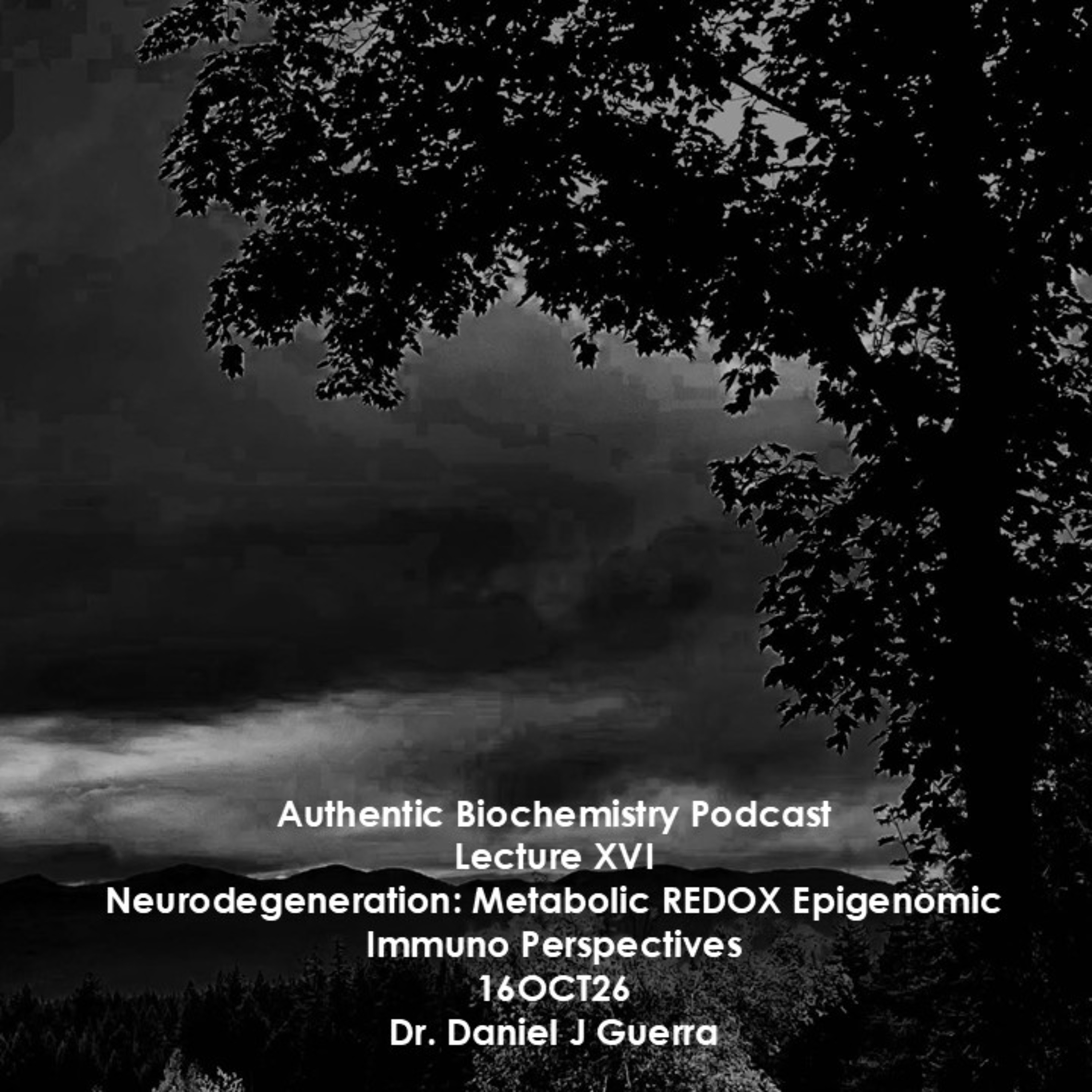 Authentic Biochemistry Podcast Lecture XV Neurodegeneration: Metabolic REDOX Epigenomic Immuno Perspectives 15OCT26 Dr. Daniel J Guerra
