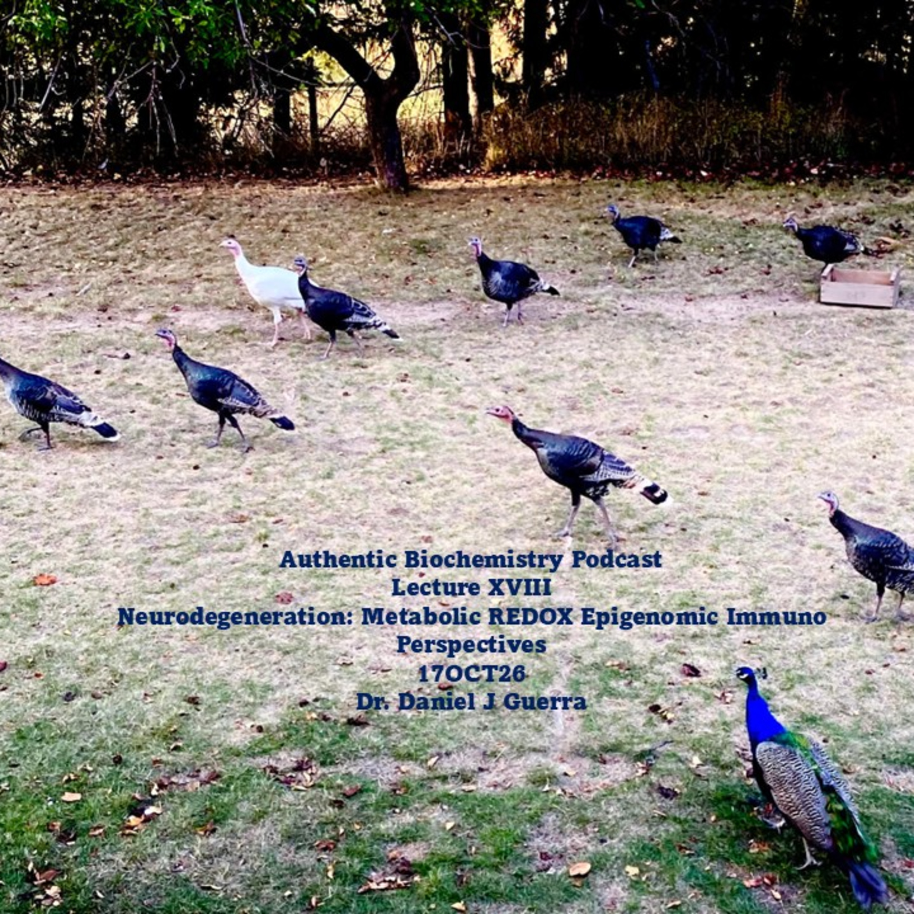 Authentic Biochemistry Podcast Lecture XVIII. Neurodegeneration: Metabolic REDOX Epigenomic Immuno Perspectives 17OCT26 Dr. Daniel J Guerra