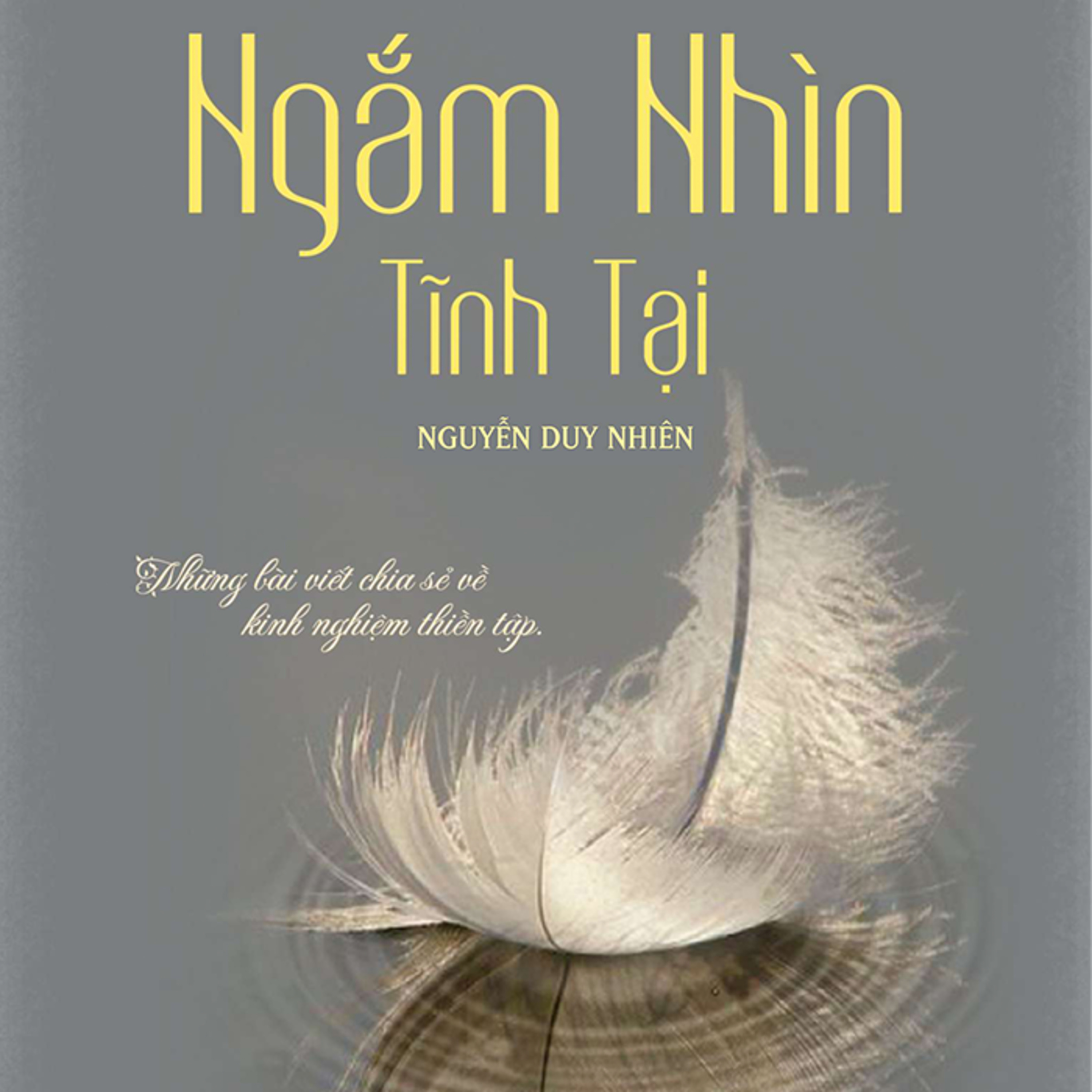 Sách nói Ngắm Nhìn Tĩnh Tại - Nguyễn Duy Nhiên | Voiz FM
