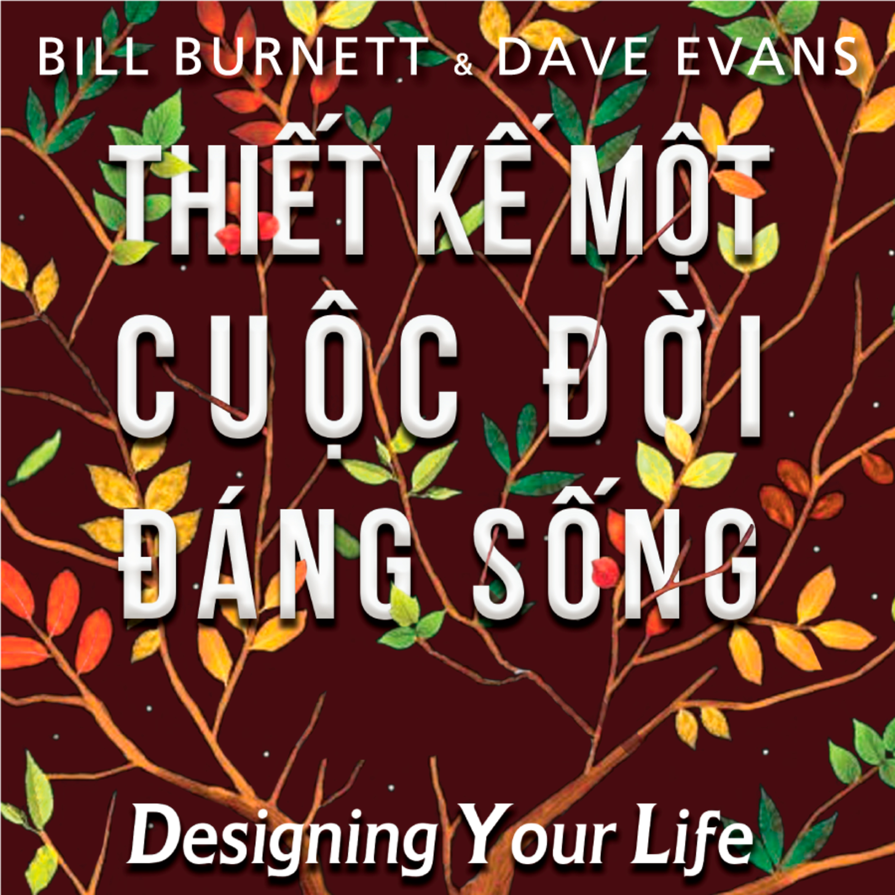 Sách nói Thiết Kế Một Cuộc Đời Đáng Sống -	Dave Evans | Voiz FM