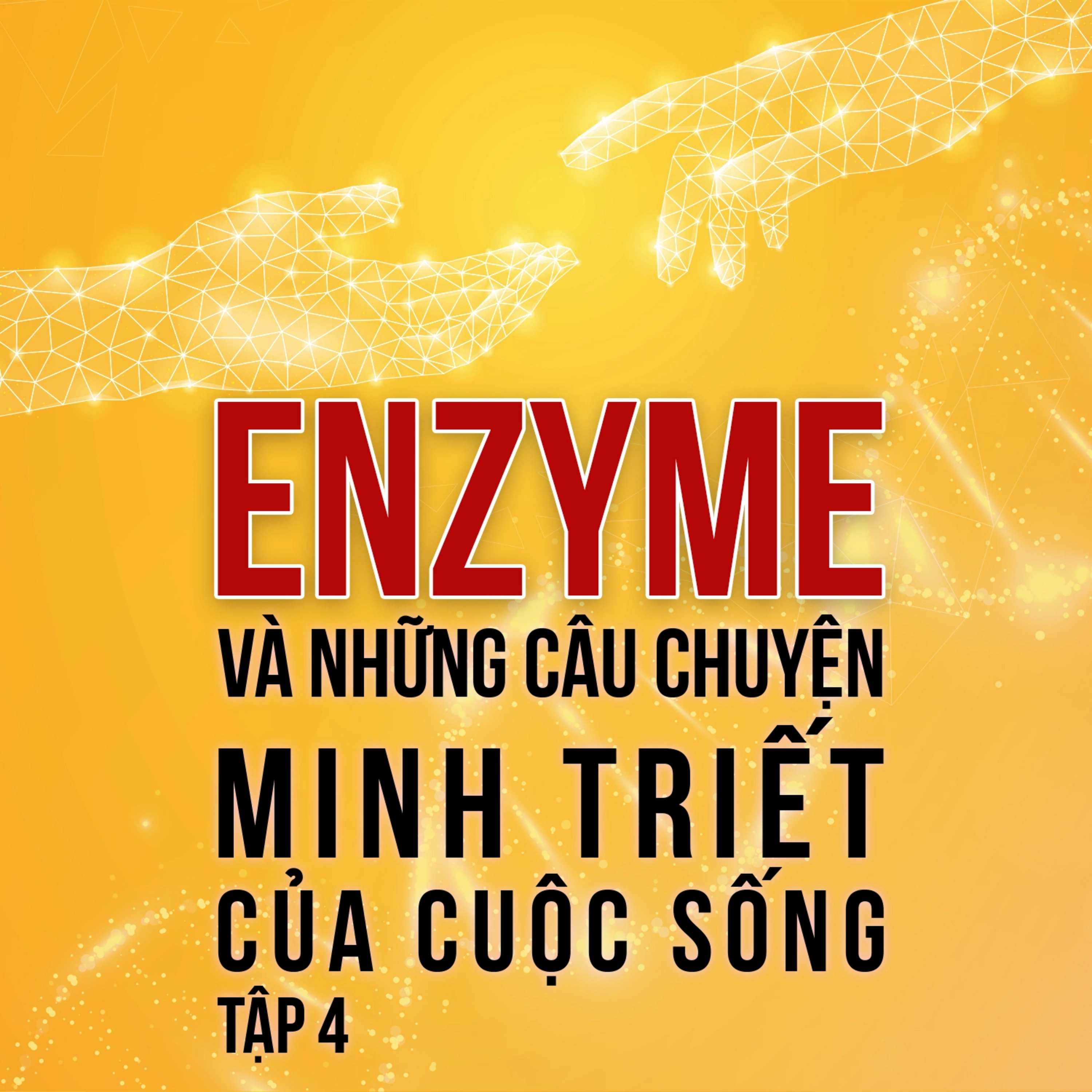 Sách nói Enzyme Và Những Câu Chuyện Minh Triết Của Cuộc Sống - Trịnh Xuân Đức | Voiz FM