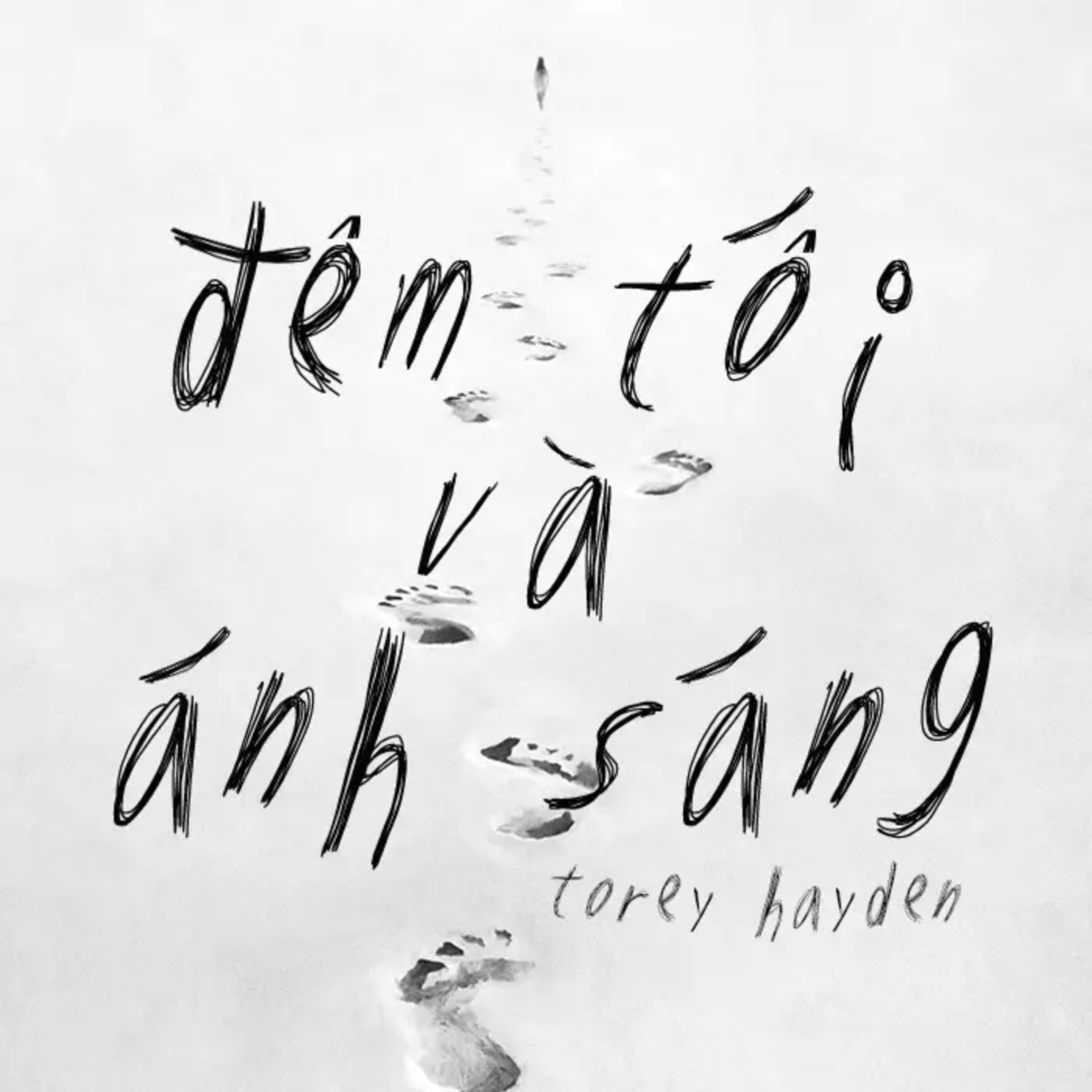 Sách nói Đêm Tối Và Ánh Sáng - Torey Hayden | Voiz FM episode artwork