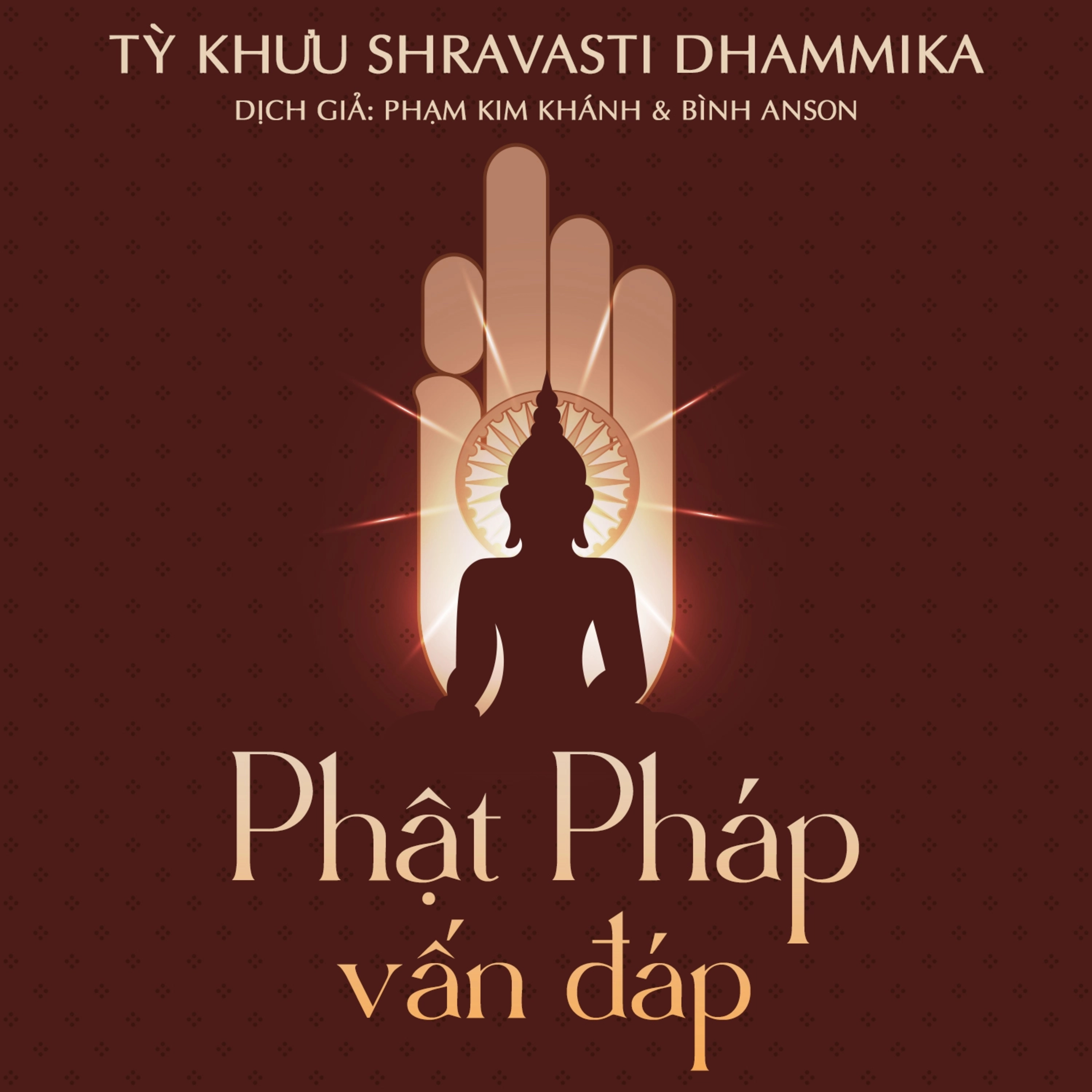 Sách nói Phật Pháp Vấn Đáp - Tỳ khưu Shravasti Dhammika | Voiz FM