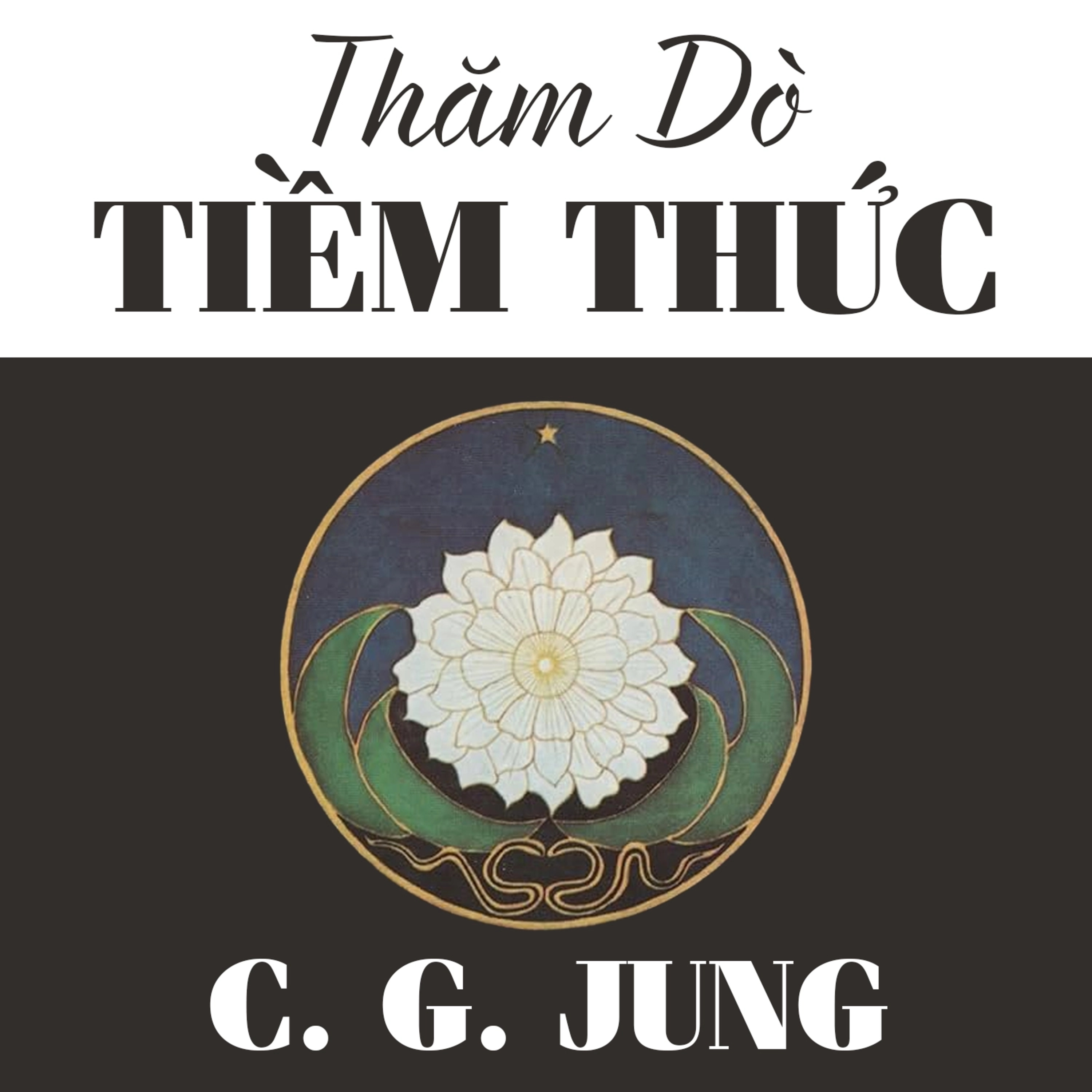 Sách nói Thăm Dò Tiềm Thức - Carl Gustav Jung | Voiz FM