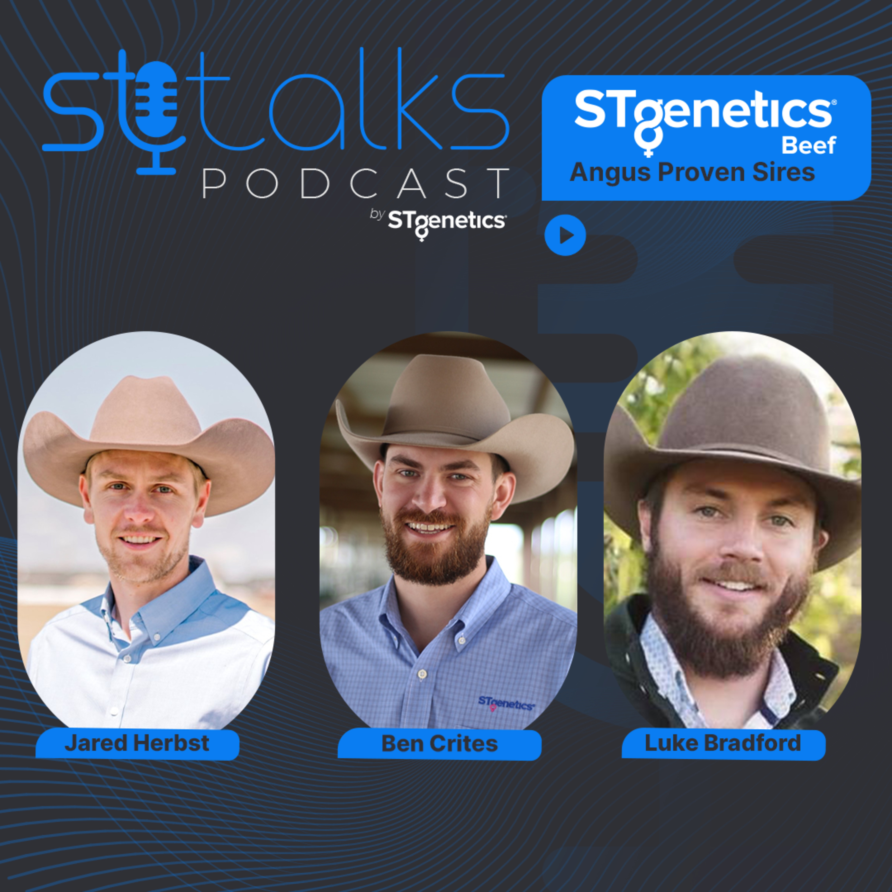 STtalks