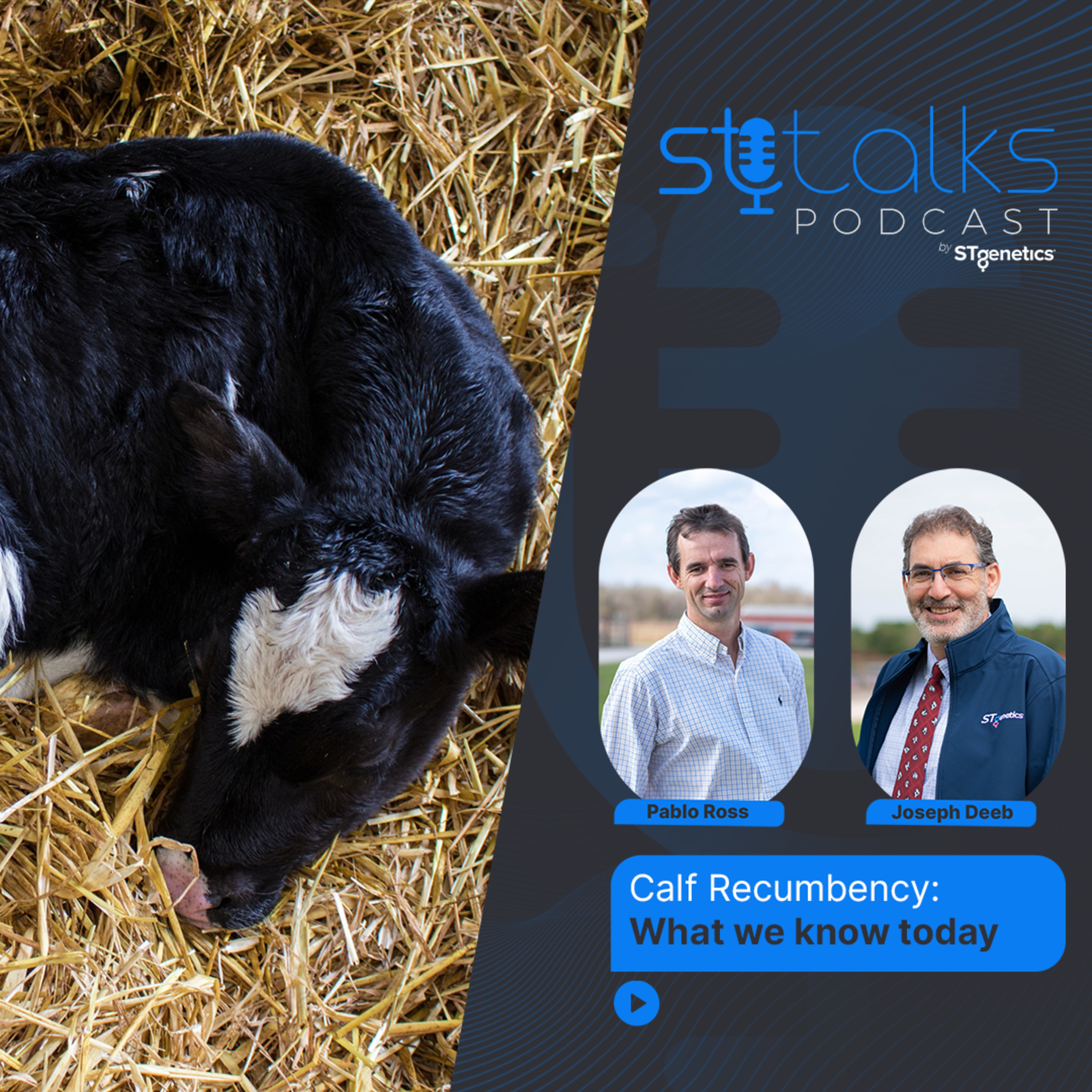 STtalks