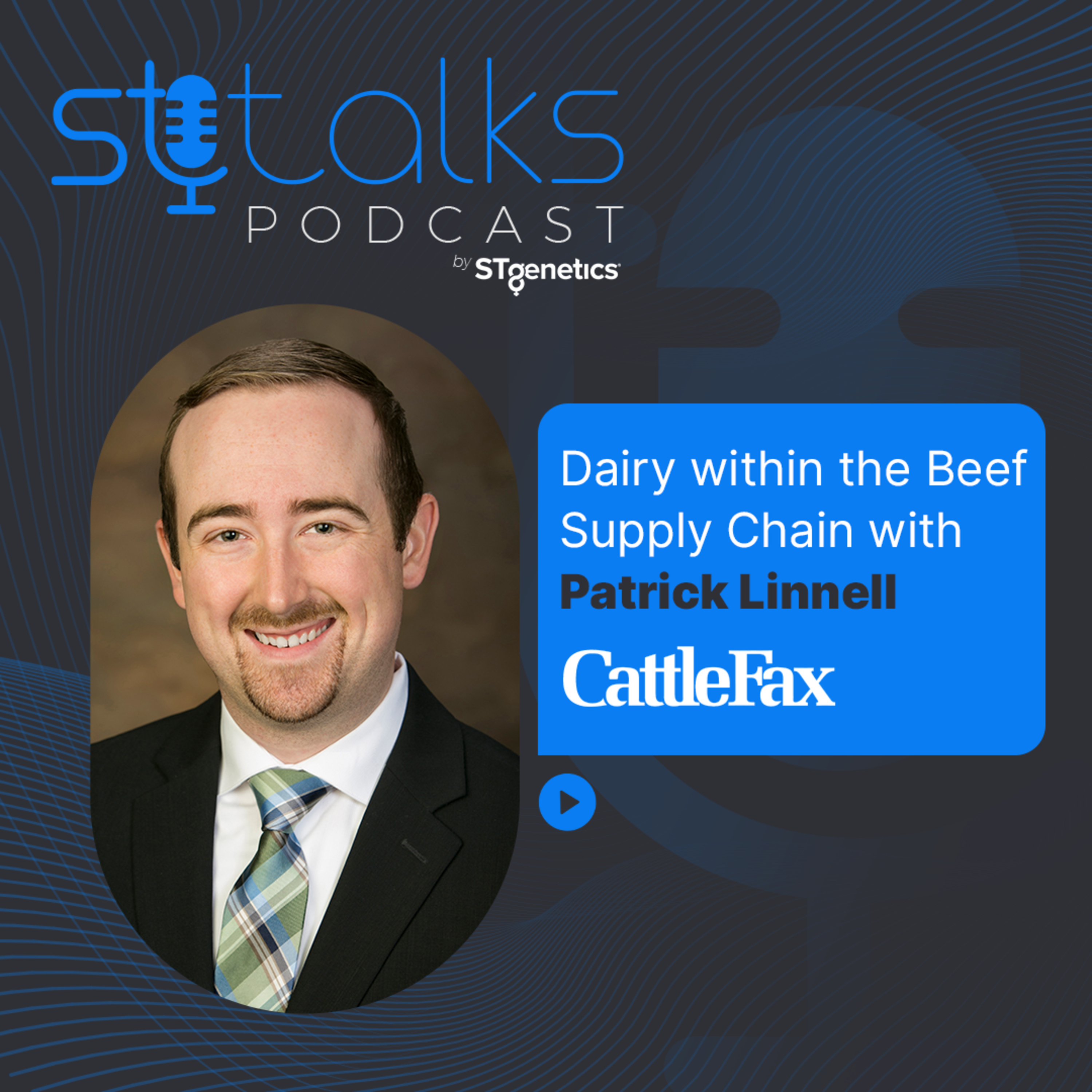 STtalks #72 - Beef x Dairy within the Beef Supply Chain with Patrick Linnell episode artwork