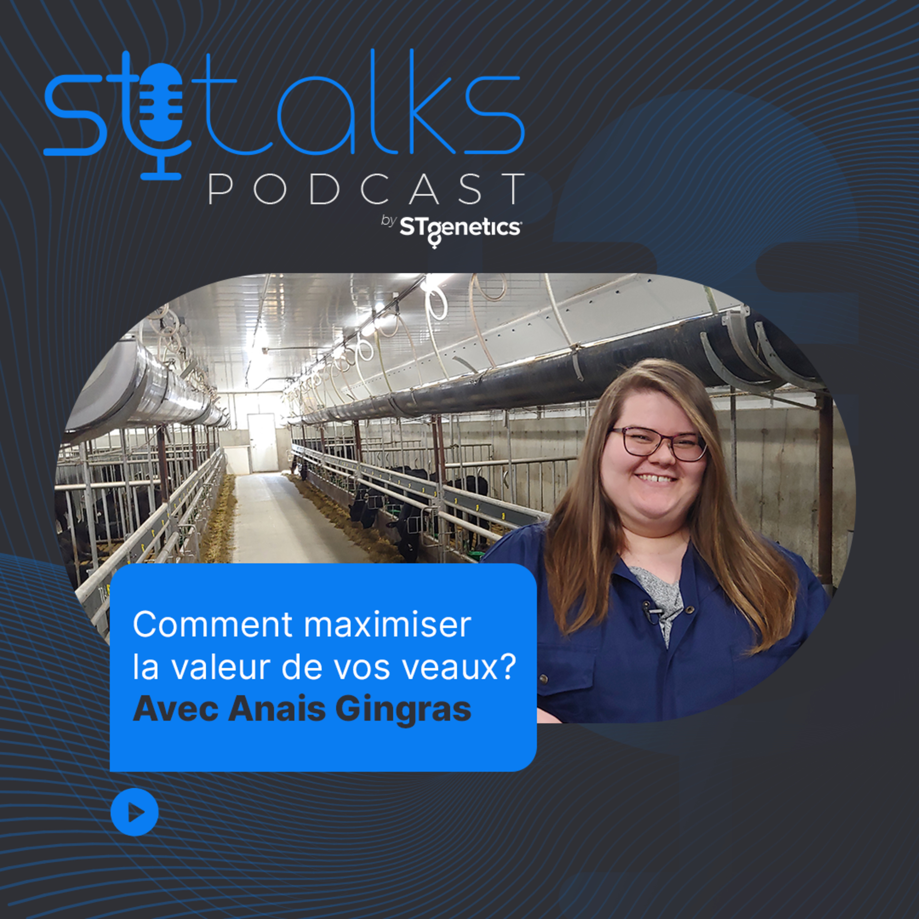 STtalks #73 - Comment maximiser la valeur de vos veaux? Avec Anais Gingras episode artwork