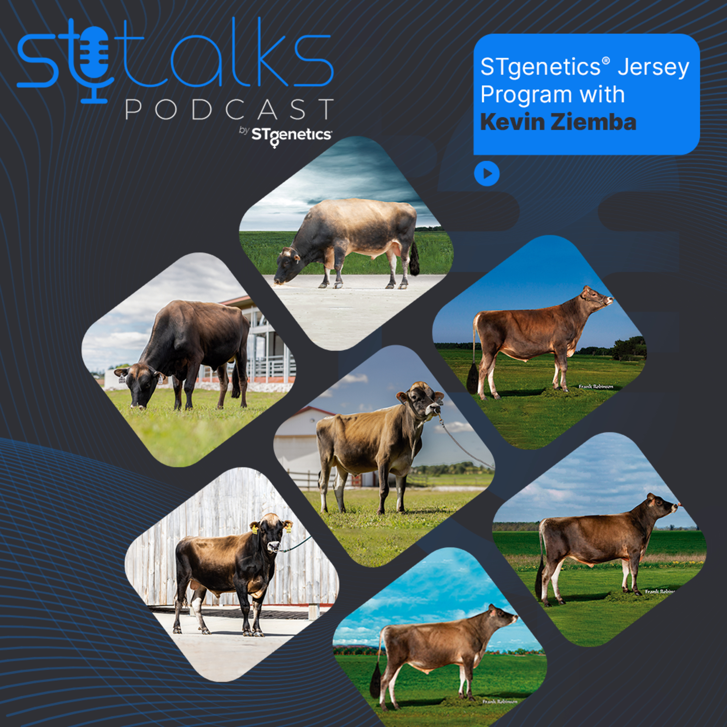 STtalks