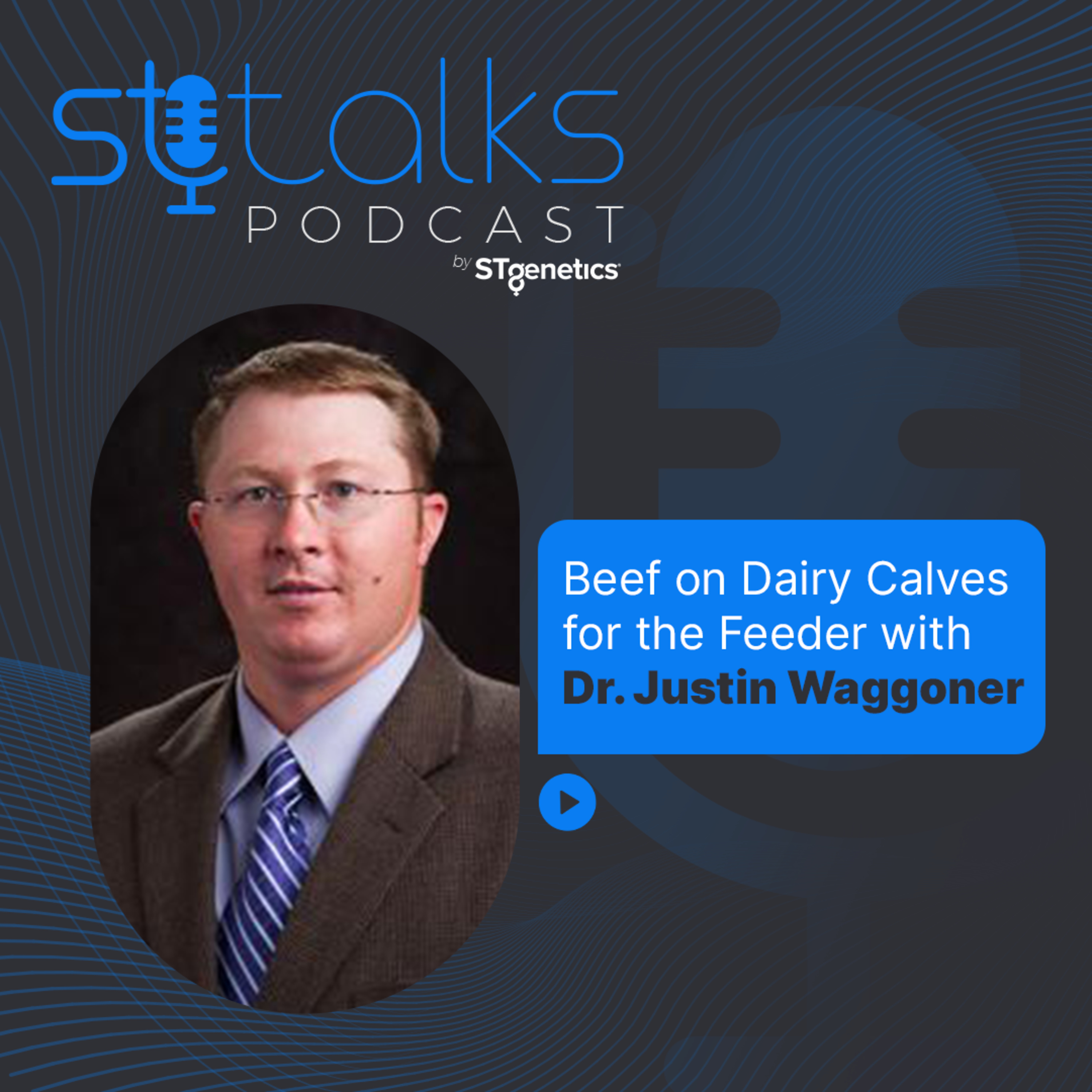 STtalks #75 - Beef on Dairy Calves for the Feeder with Dr. Justin Waggoner episode artwork