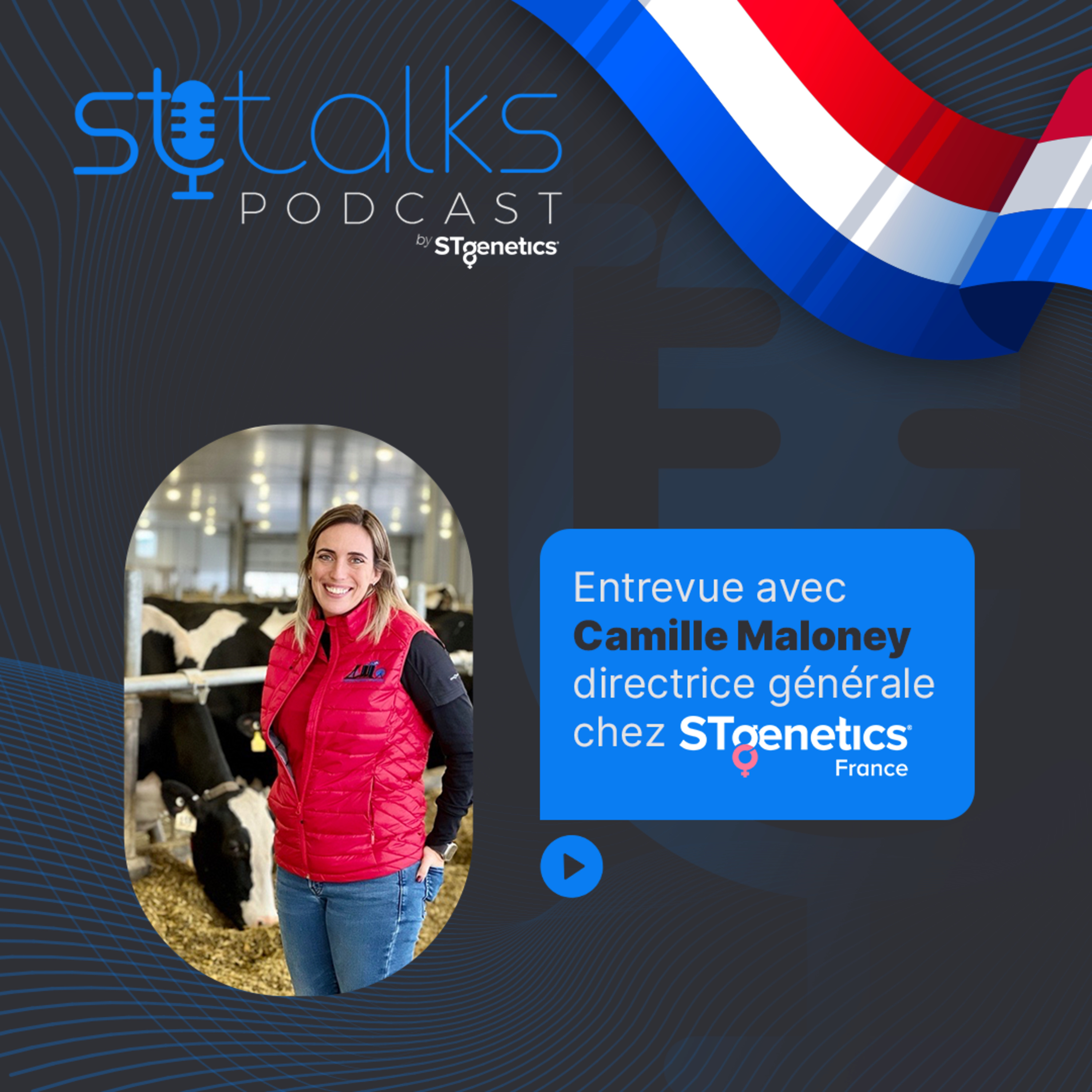 STtalks