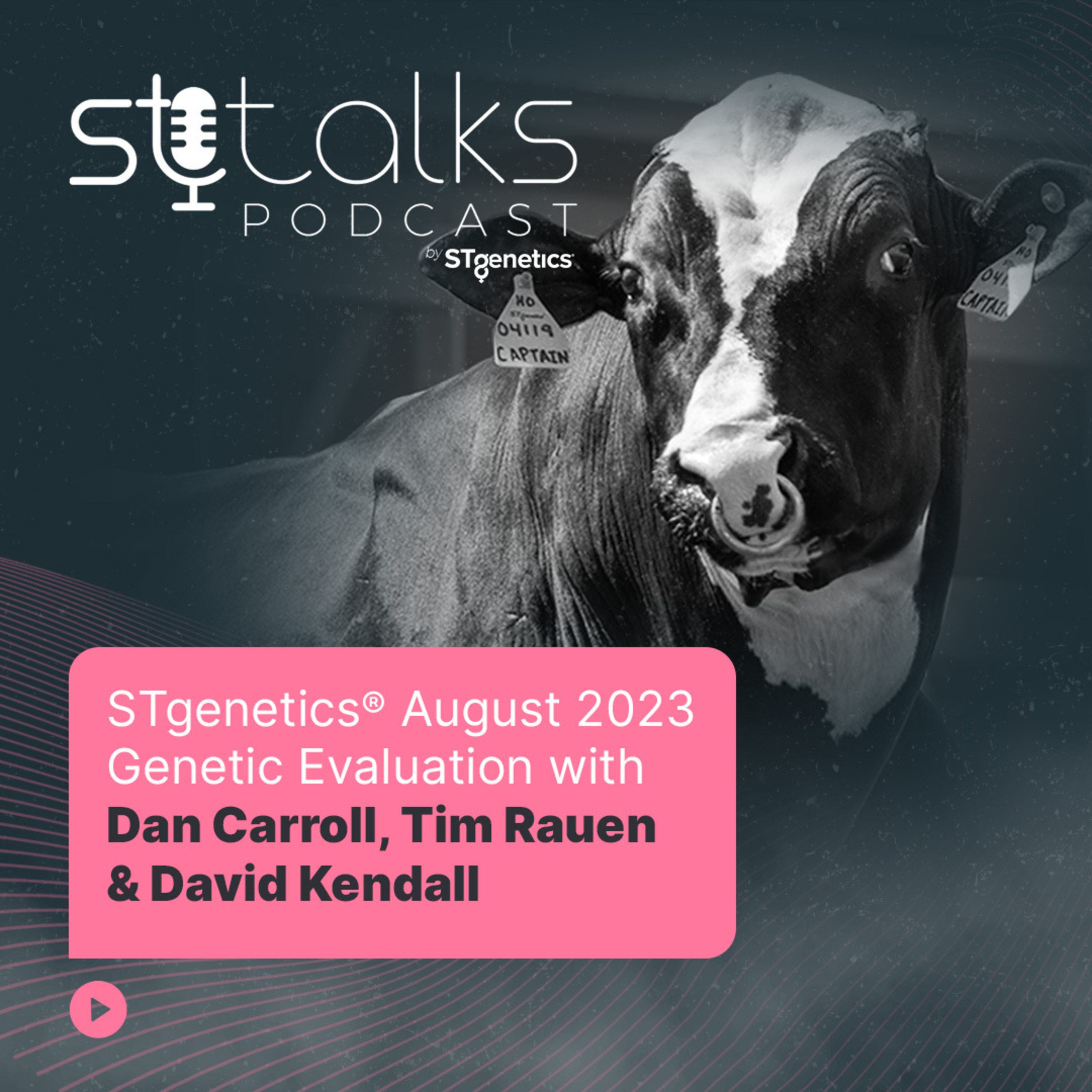 STtalks