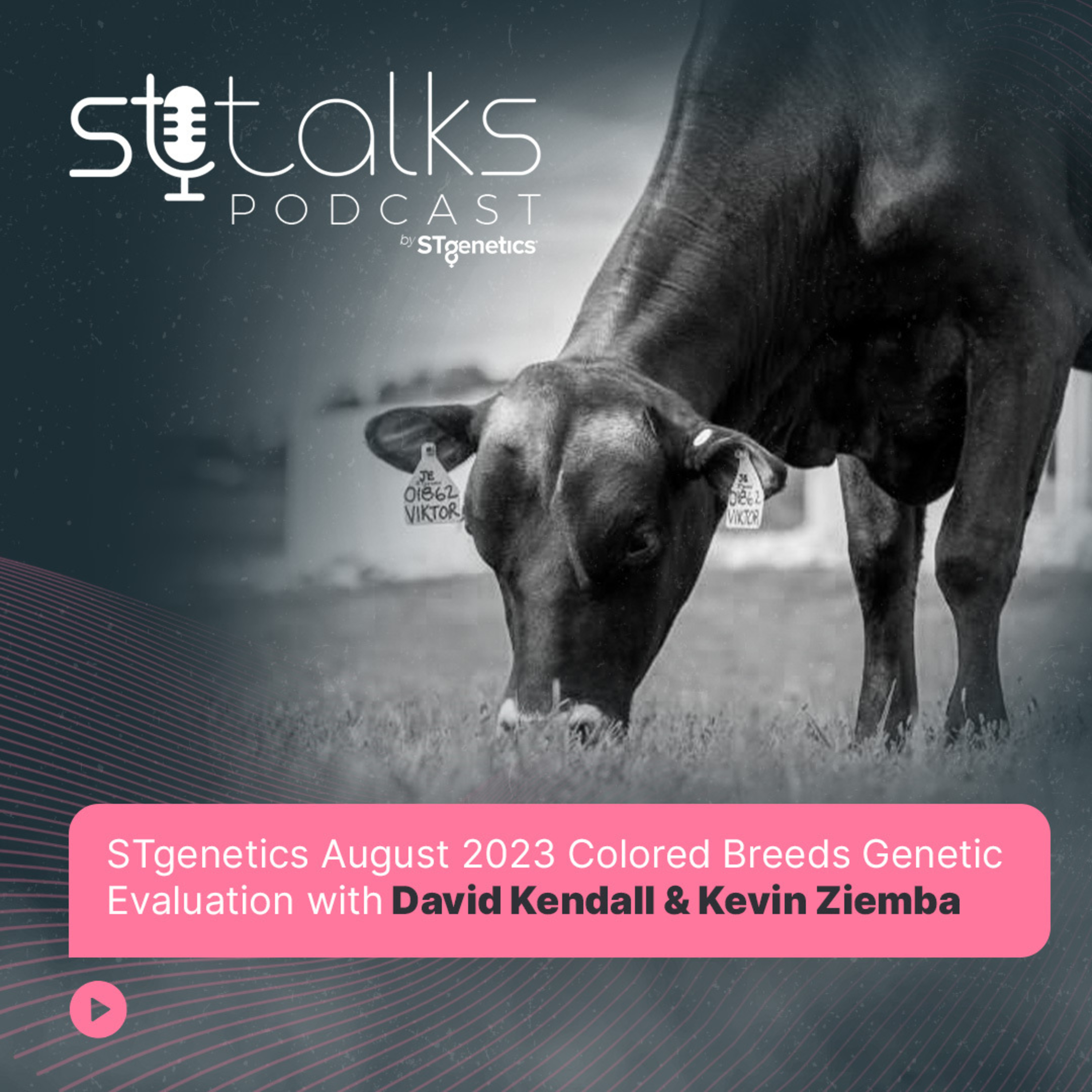 STtalks