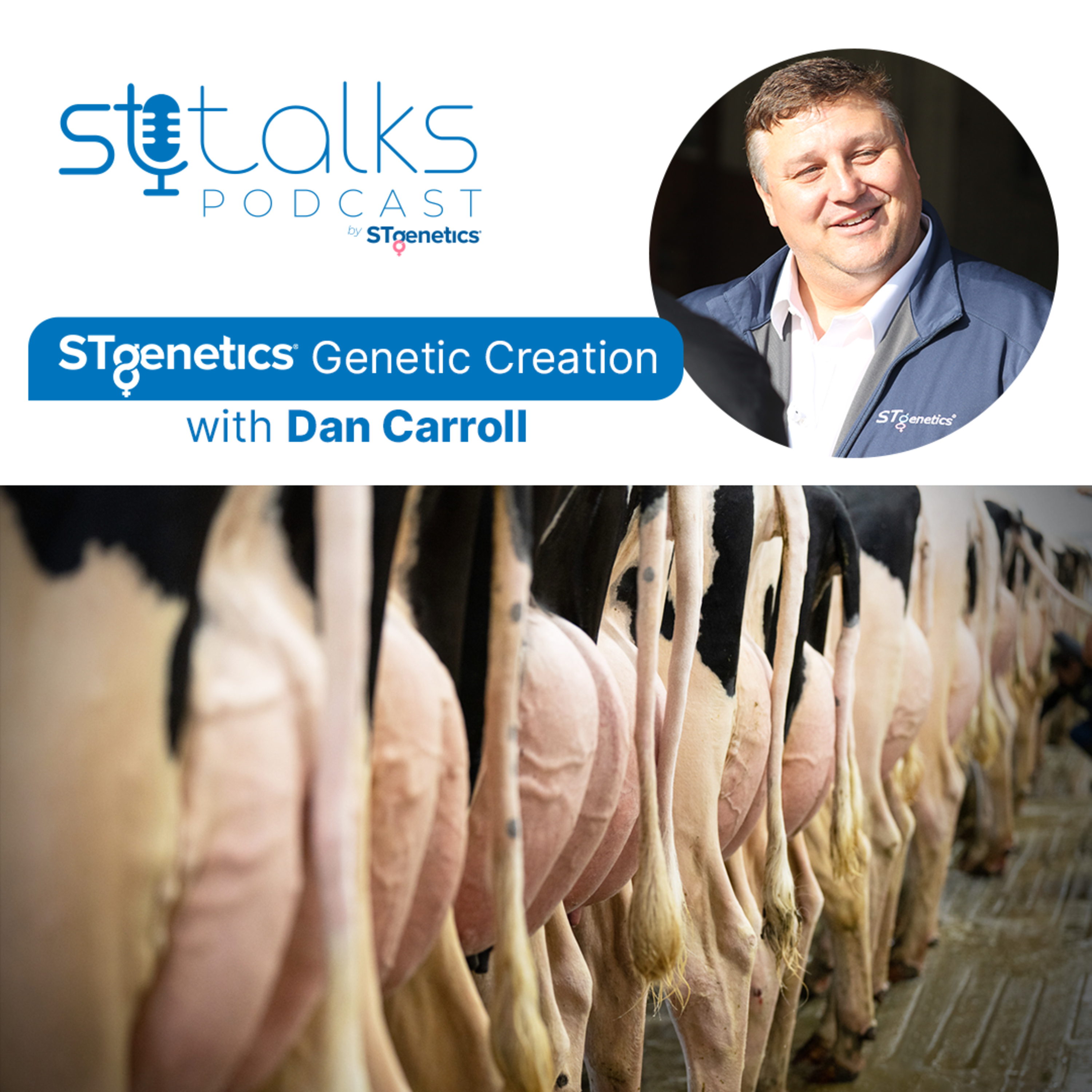 STtalks