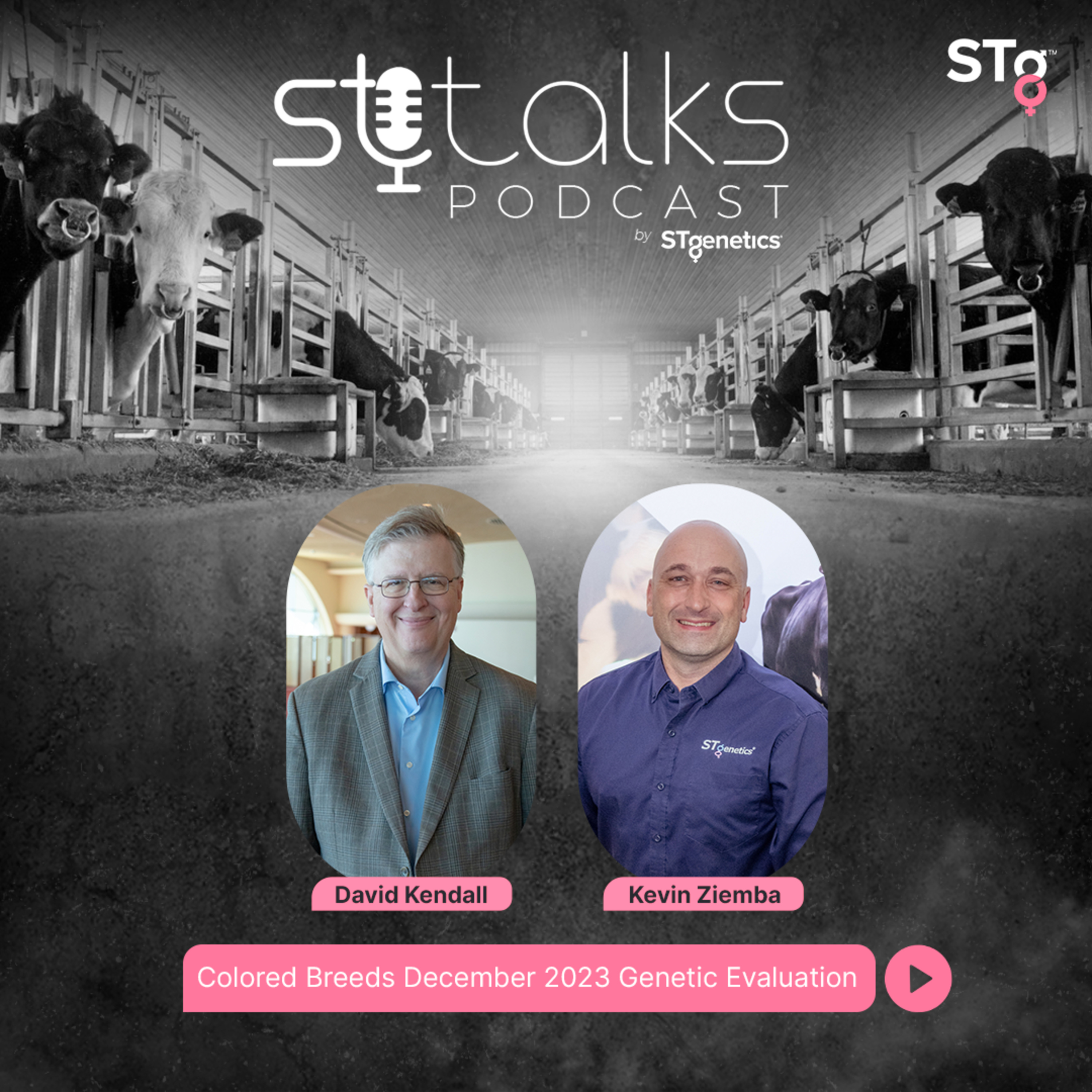 STtalks #115 - Colored Breeds December 2023 Genetic Evaluation episode artwork