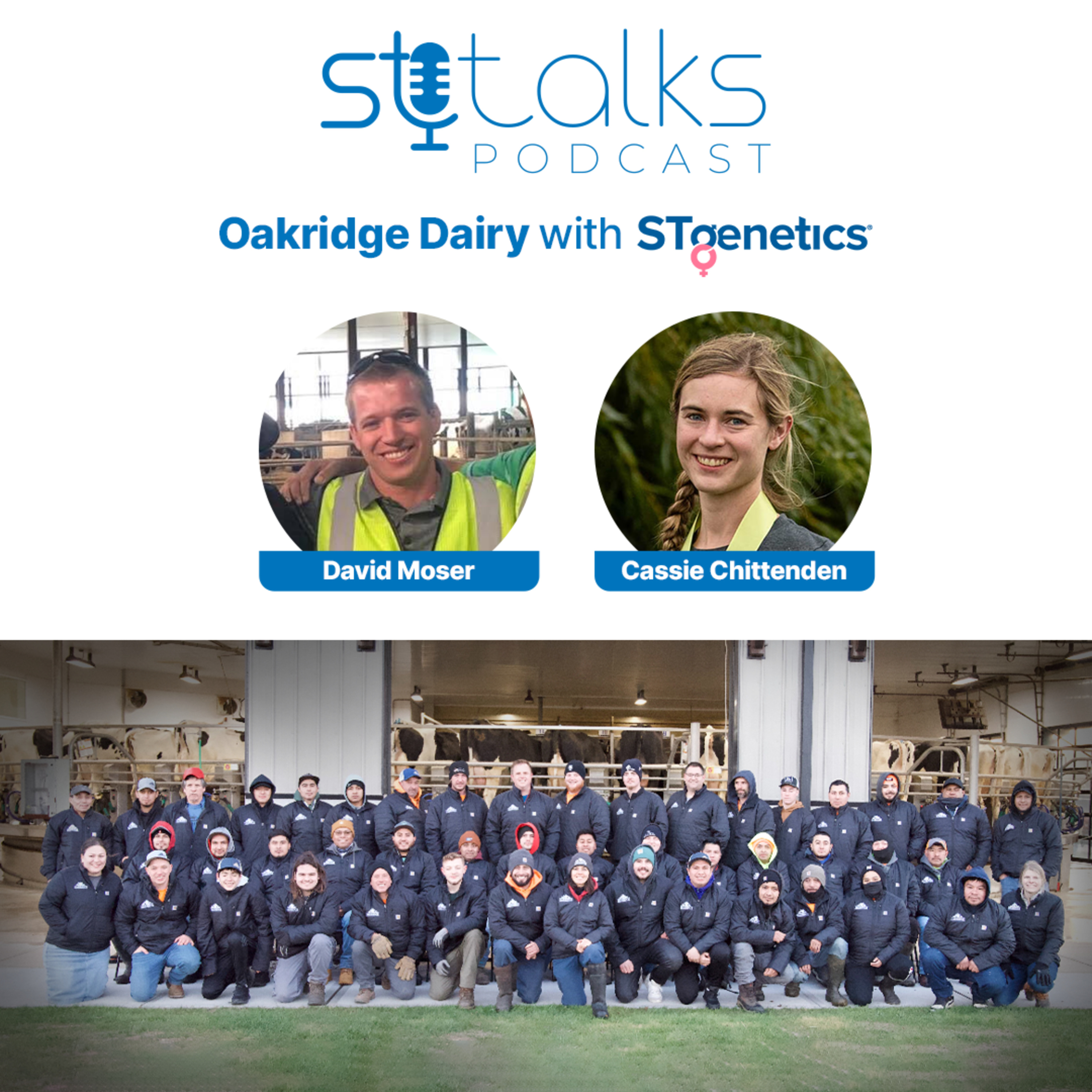 STtalks