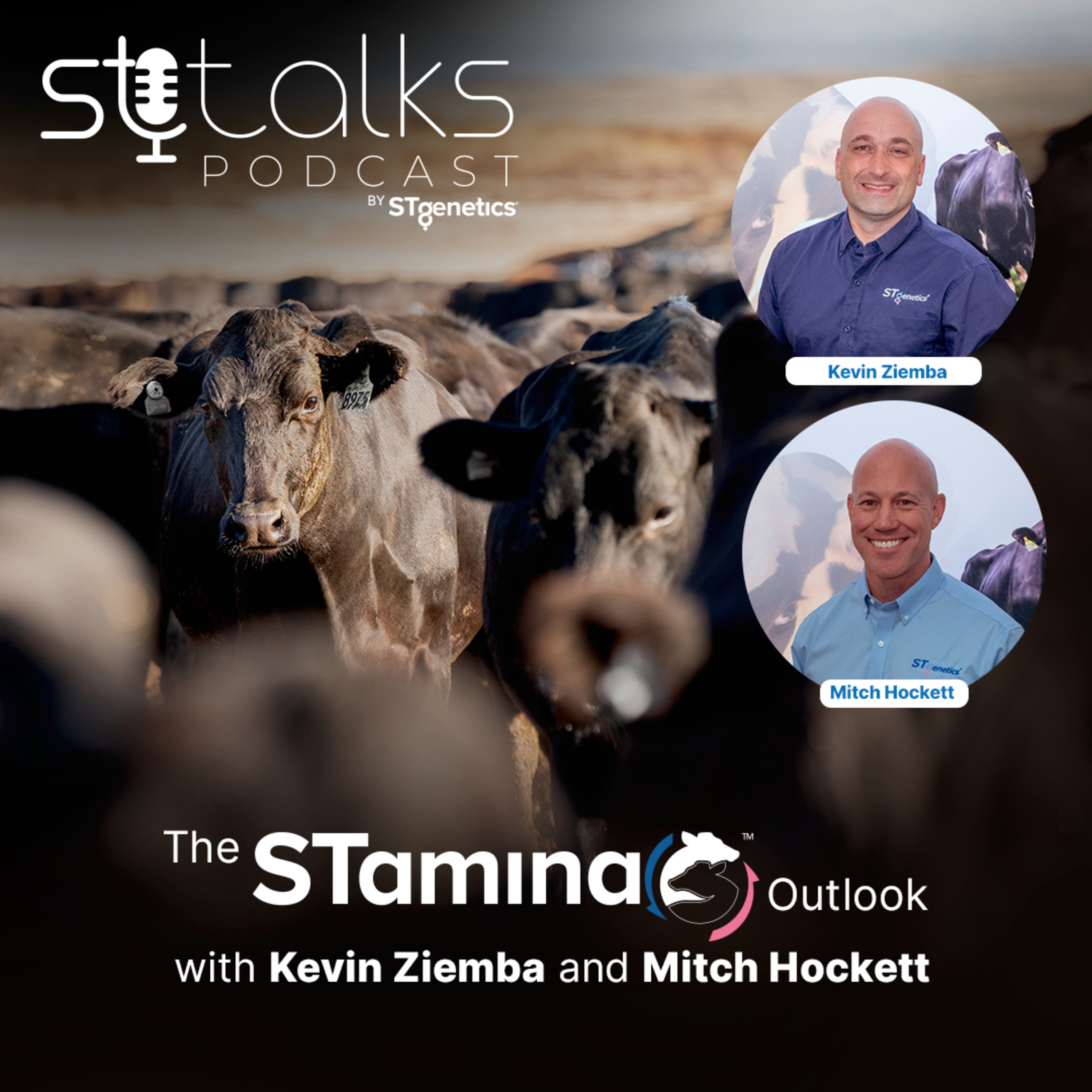 STtalks #136 - The STamina™️ Outlook with Kevin Ziemba and Mitch Hockett episode artwork