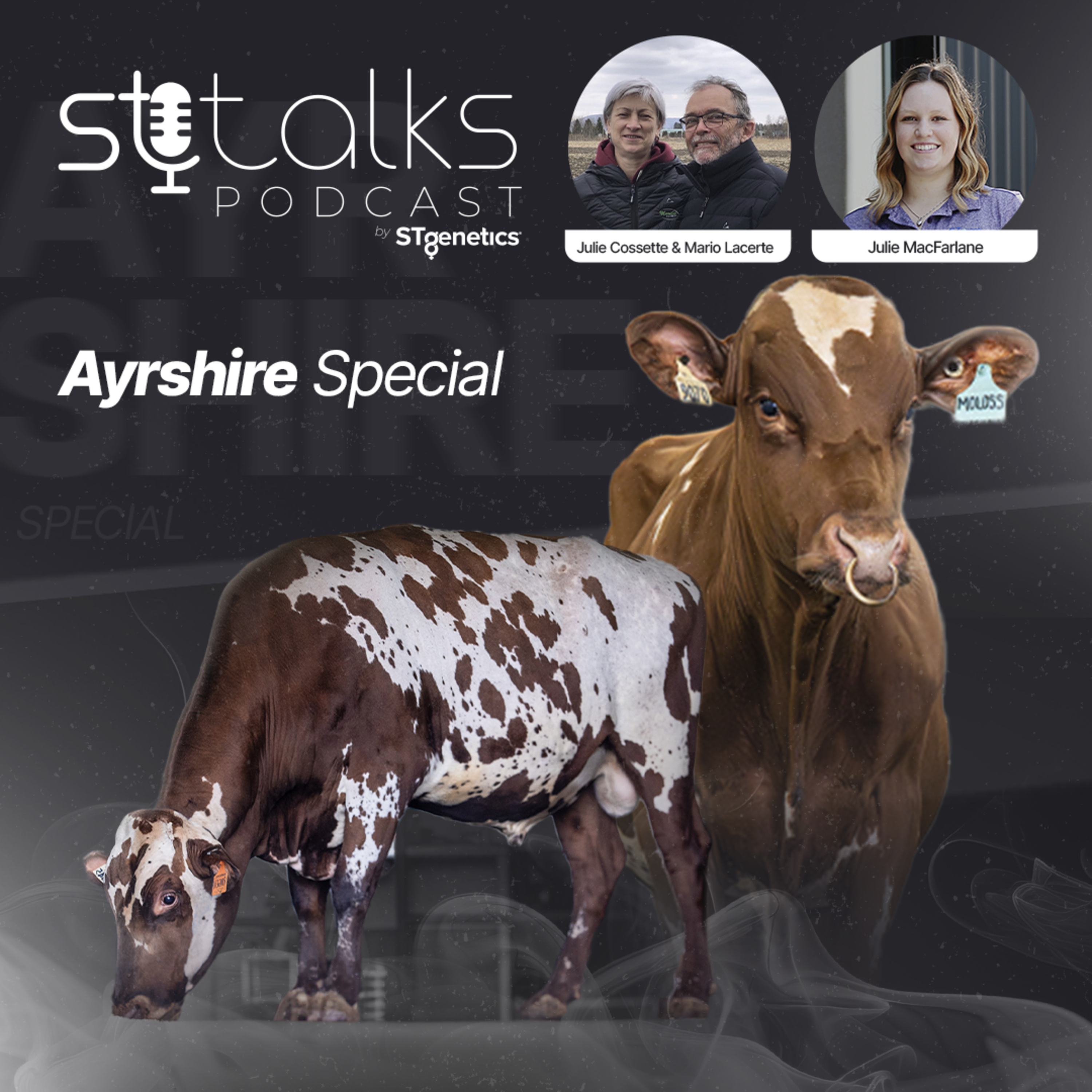 STtalks