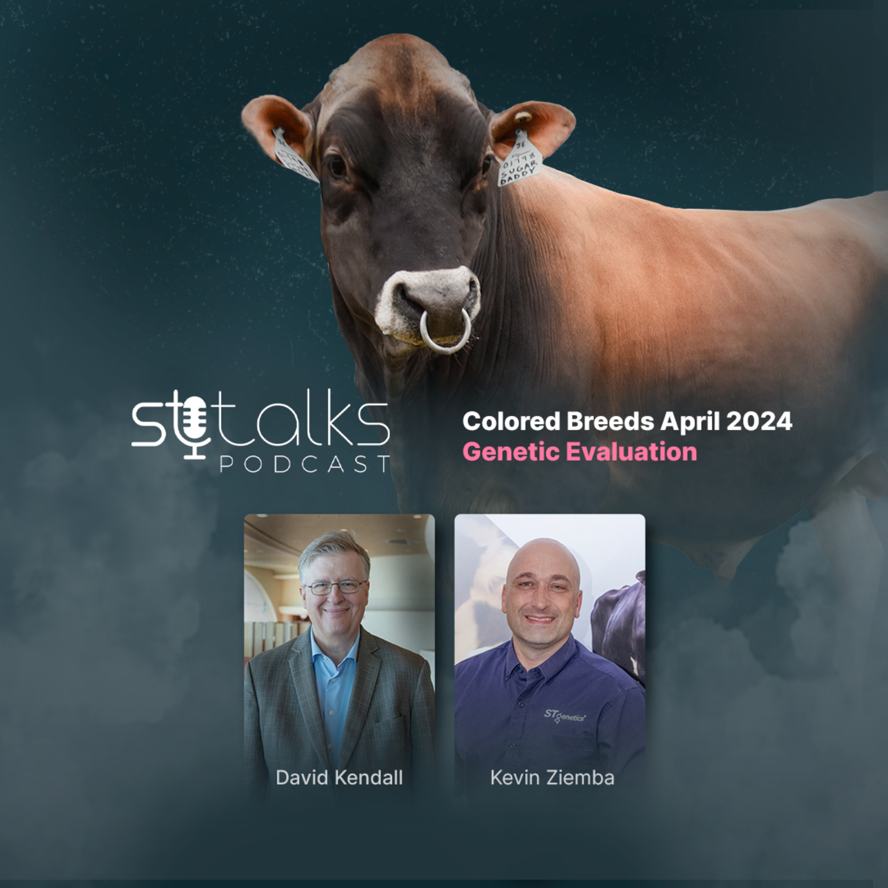 STtalks #148 - Colored Breeds April 2024 Genetic Evaluation episode artwork