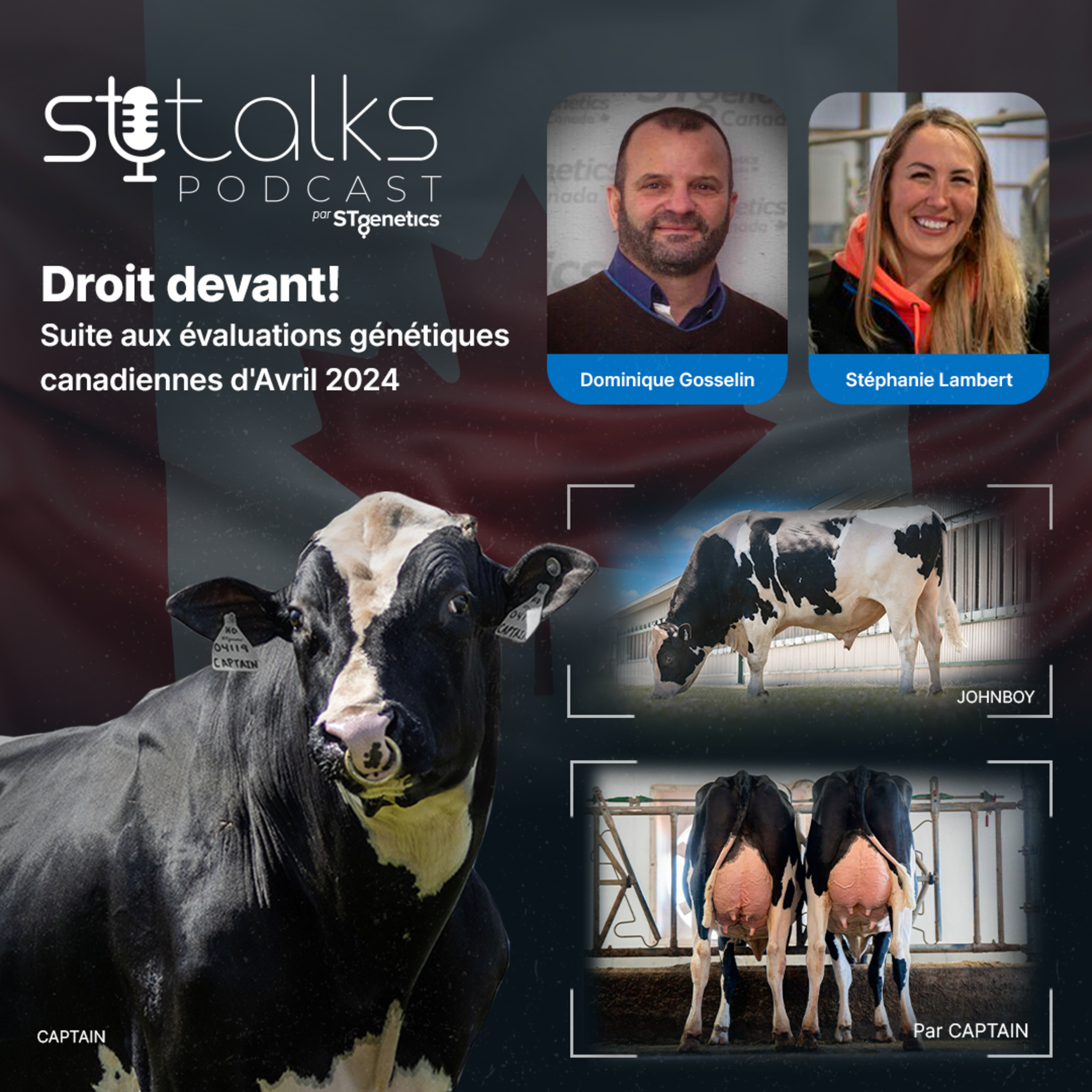 STtalks #149 - Droit devant! Suite aux évaluations génétiques canadiennes d'Avril 2024 episode artwork
