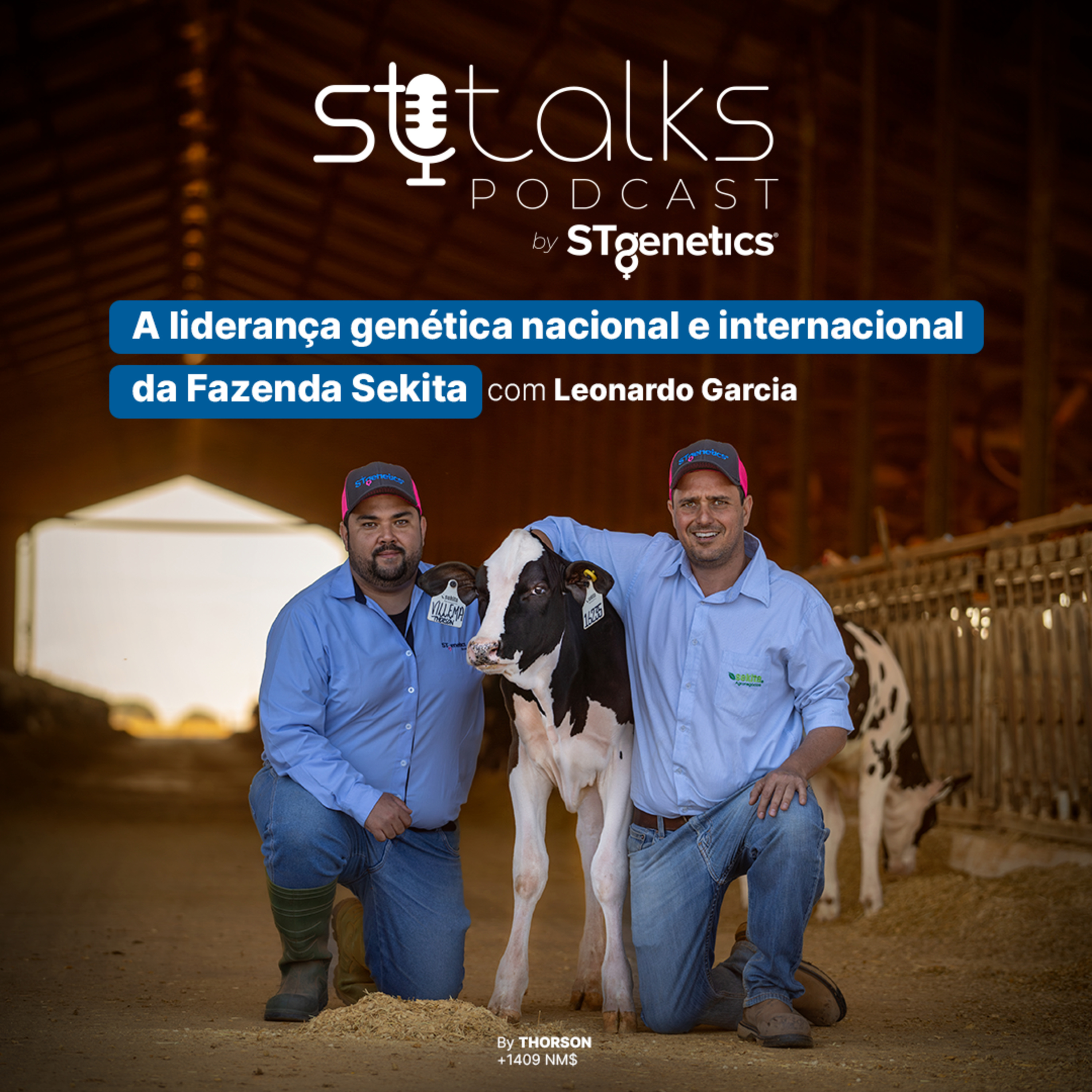 STtalks #177 - A liderança genética nacional e internacional da Fazenda Sekita com Leonardo Garcia episode artwork