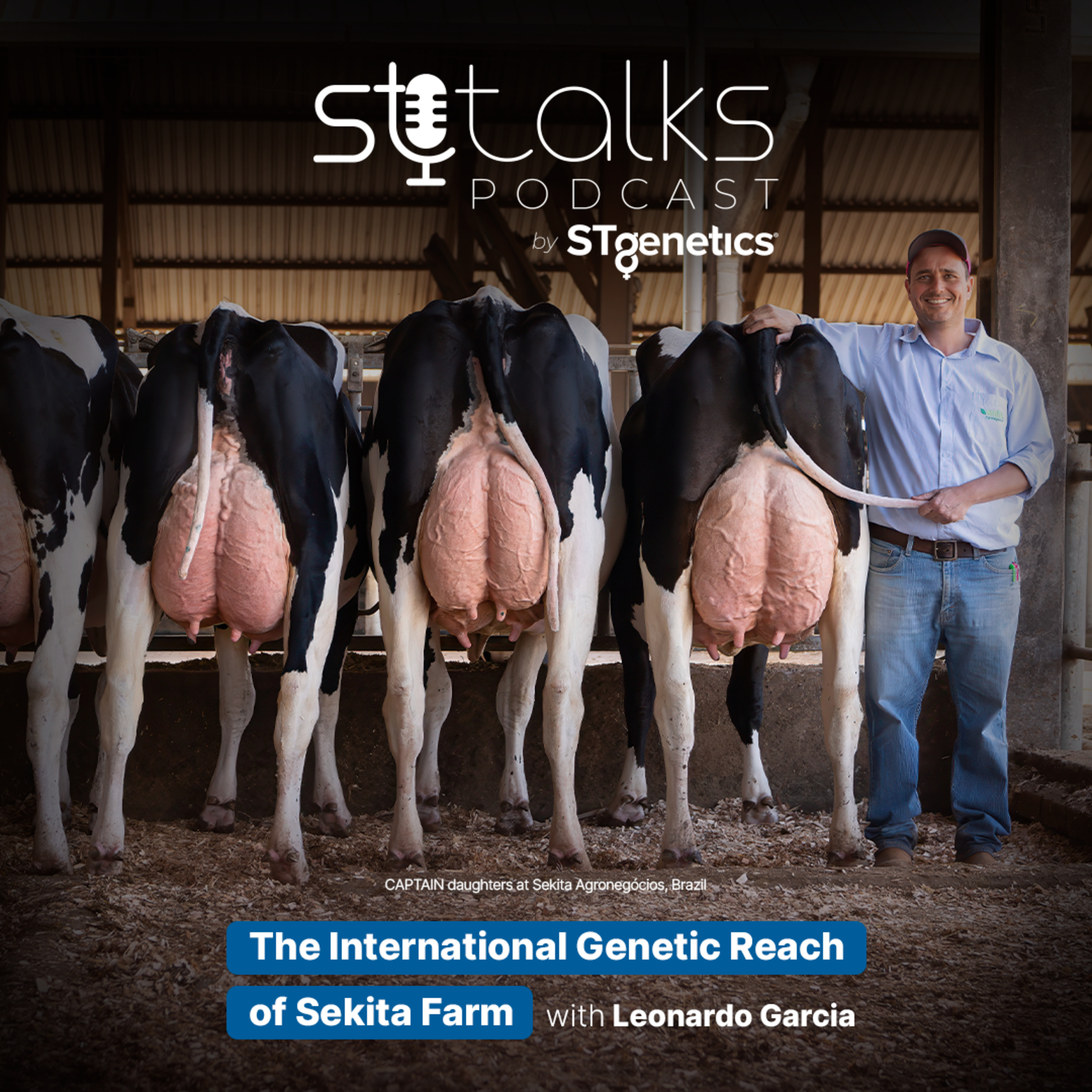 STtalks #178 - The International Genetic Reach of Sekita Farm with Leonardo Garcia episode artwork