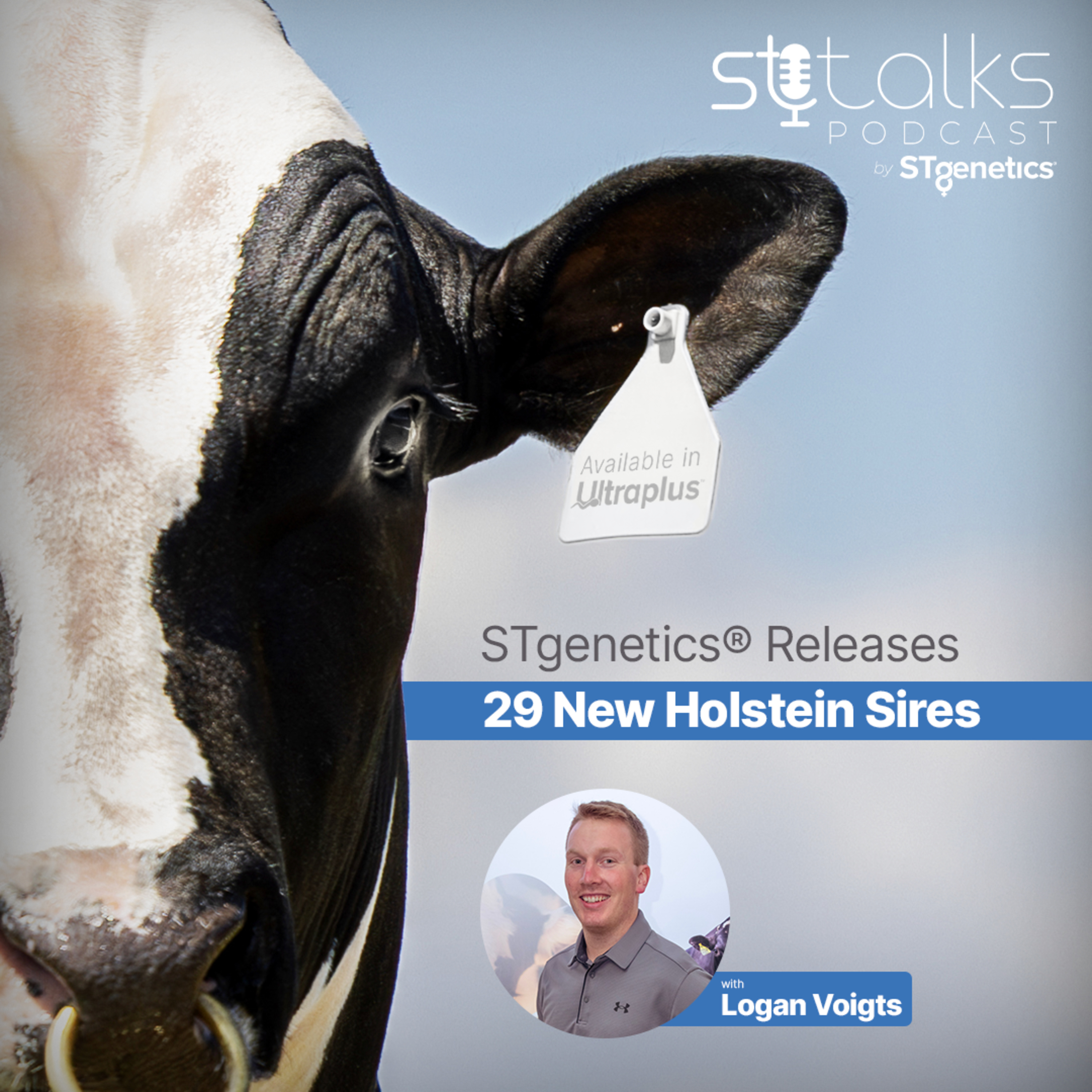 STtalks