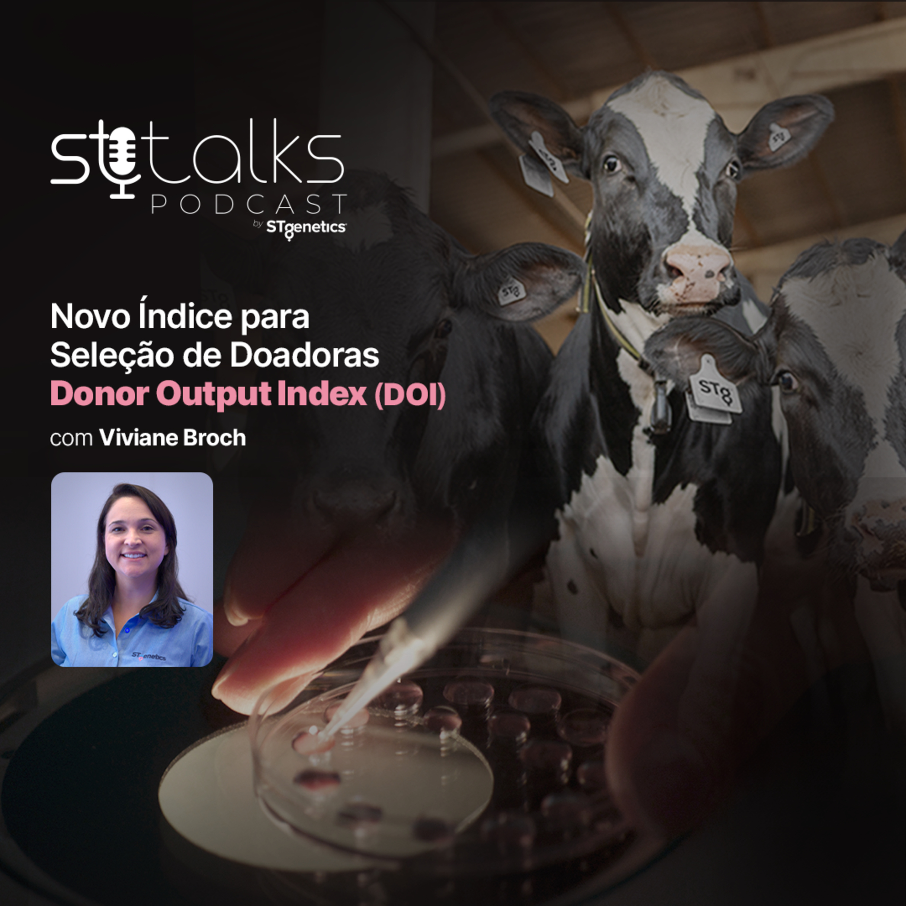 STtalks #183 - Novo Índice para Seleção de Doadoras Donor Output Index (DOI) com Viviane Broch episode artwork