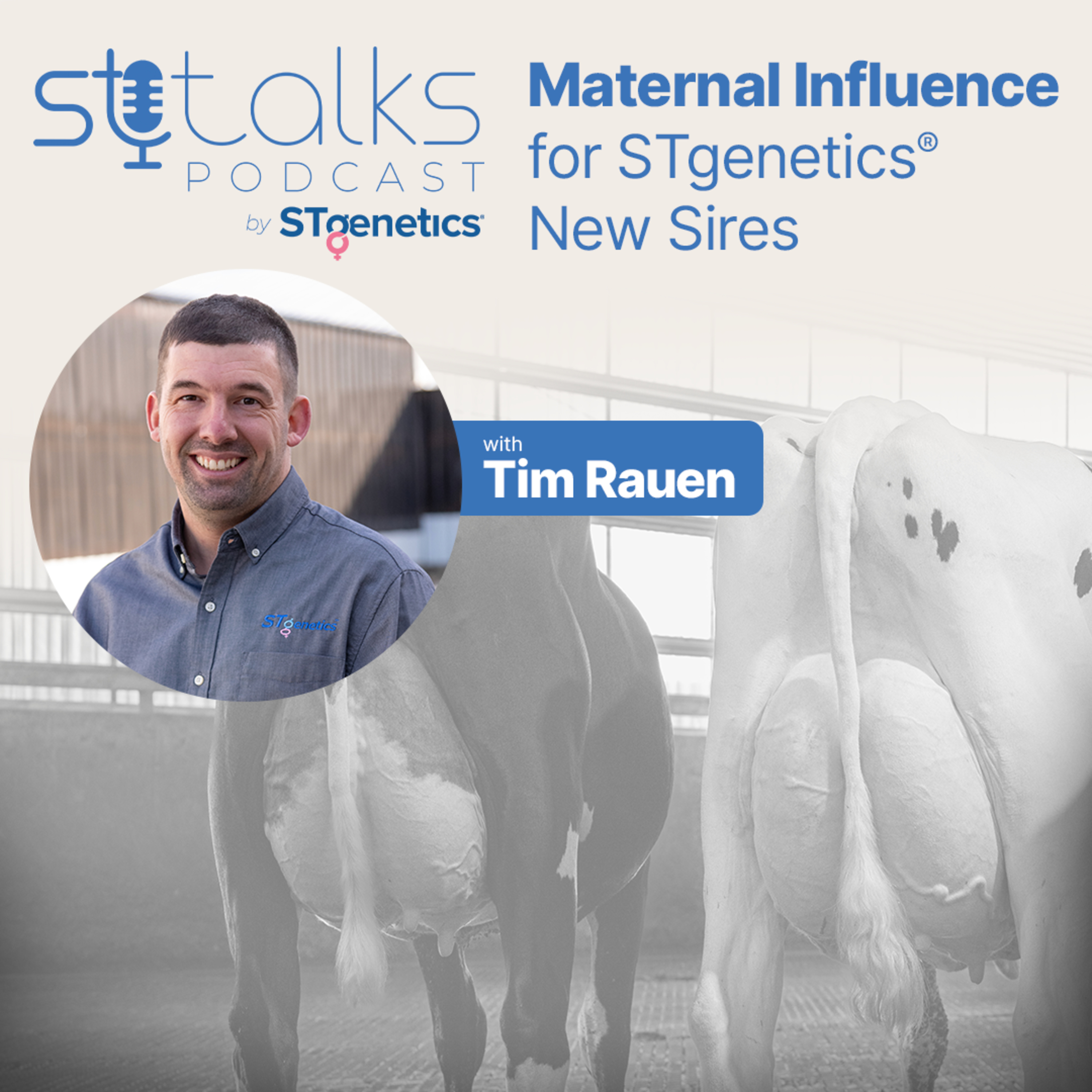 STtalks