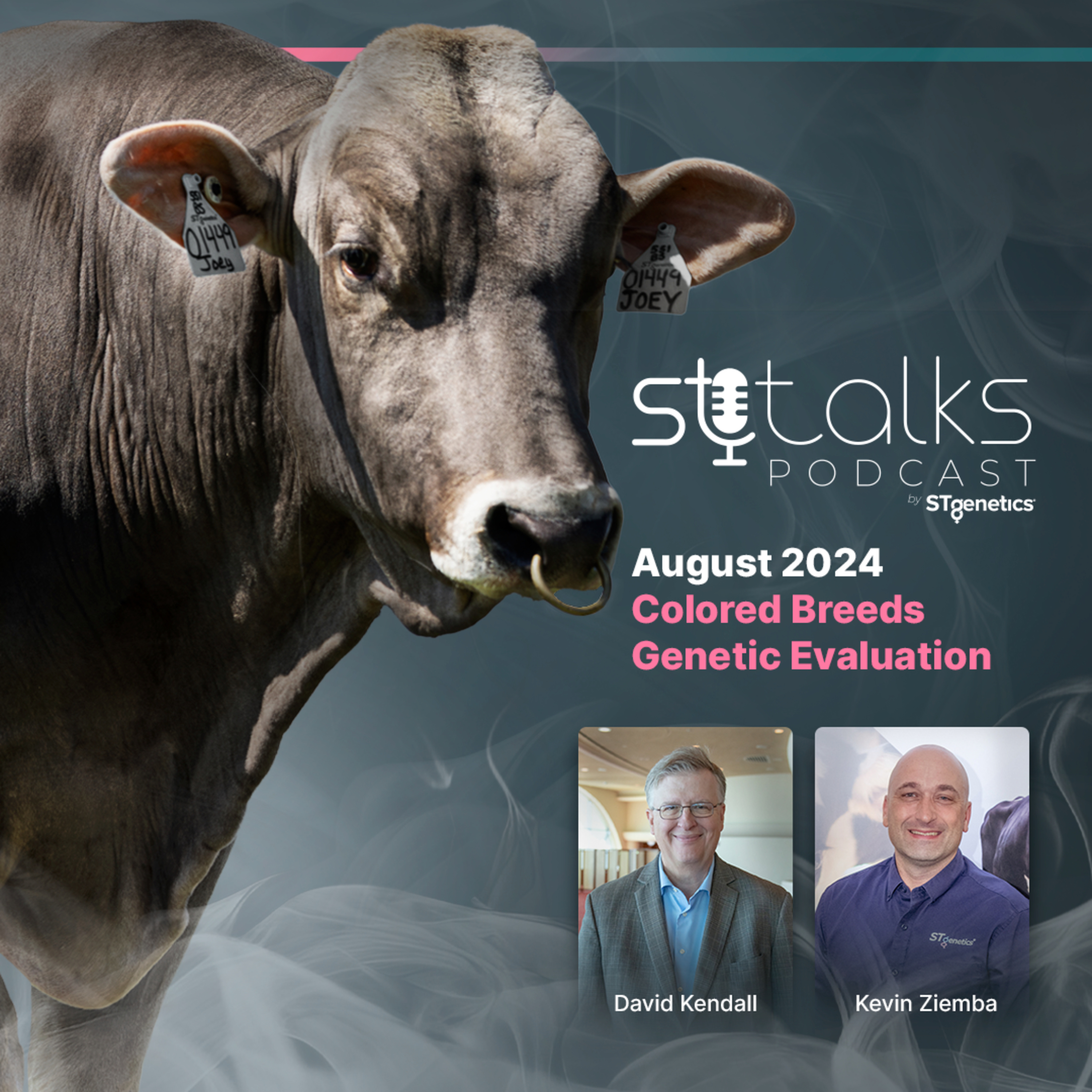 STtalks #196 - August 2024 Colored Breeds Genetic Evaluation episode artwork
