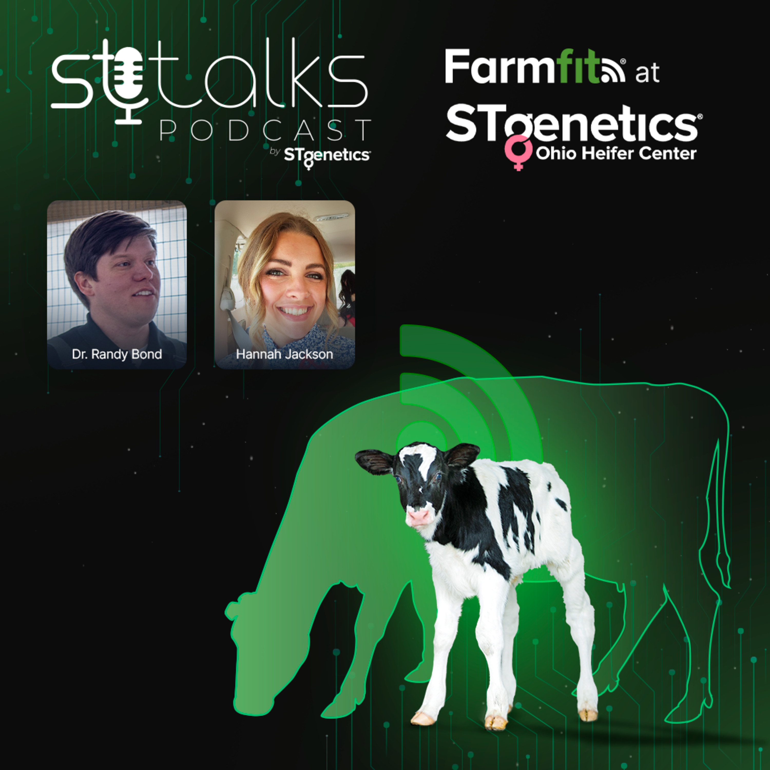 STtalks