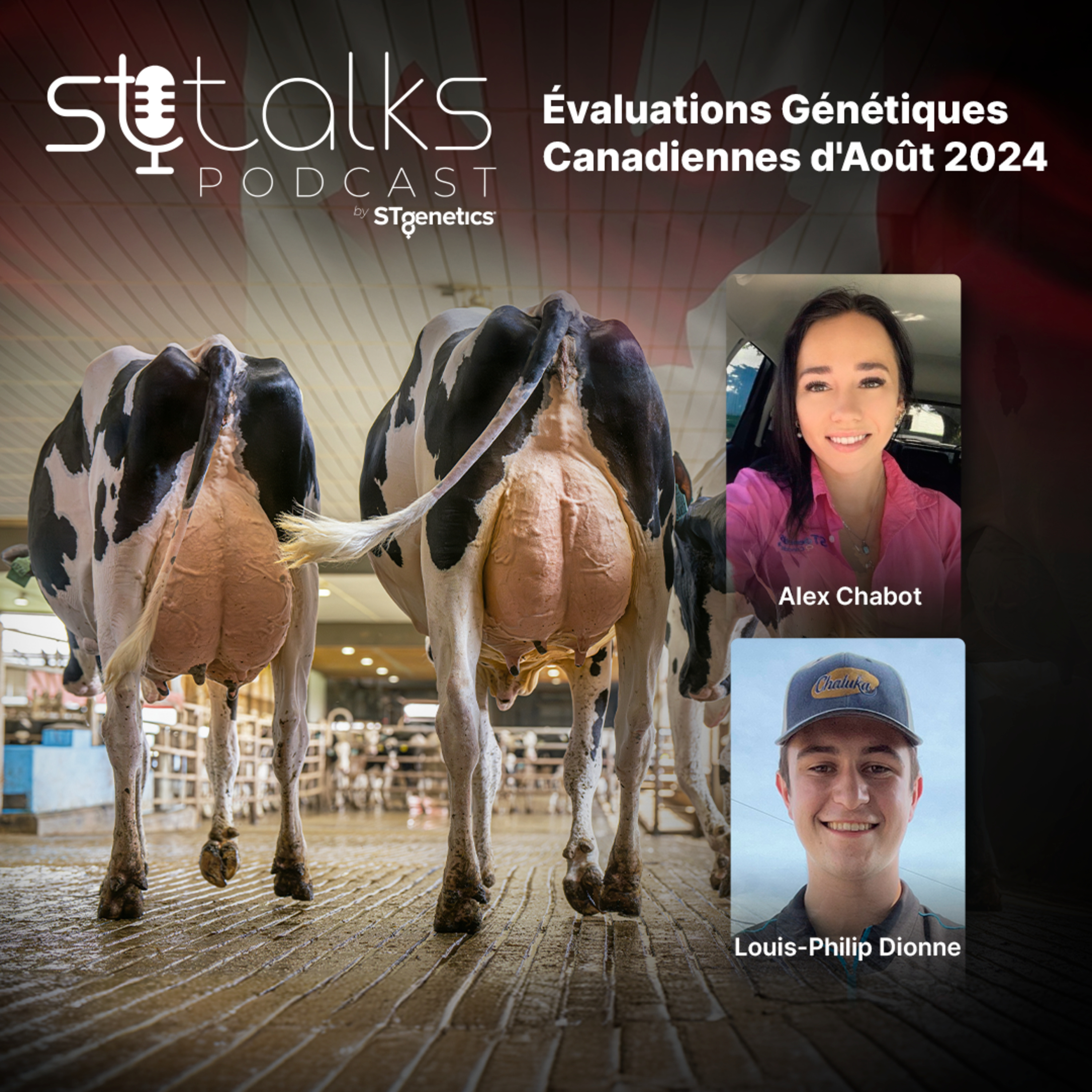 STtalks