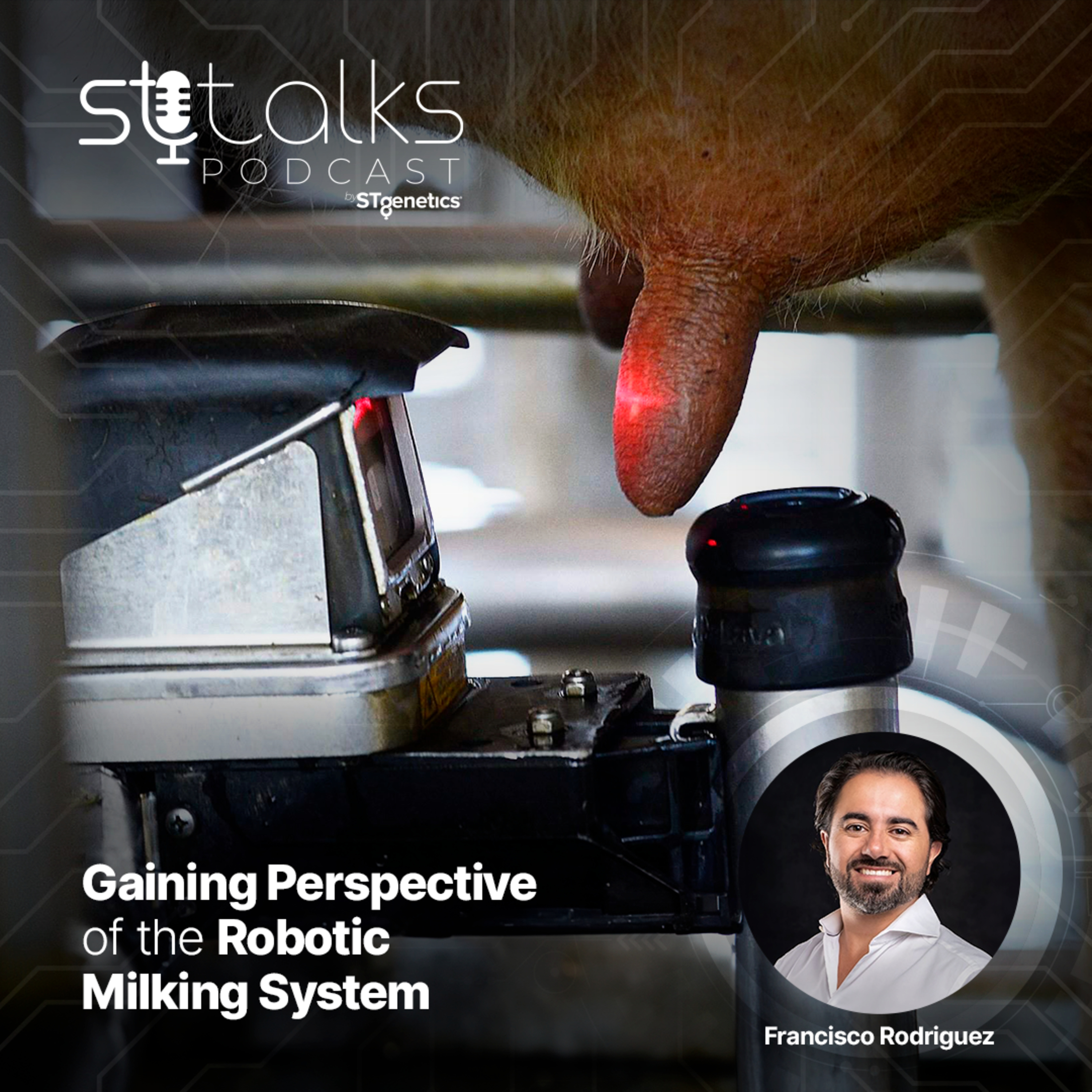 STtalks #204 - Gaining Perspective of the Robotic Milking System with Francisco Rodriguez  episode artwork