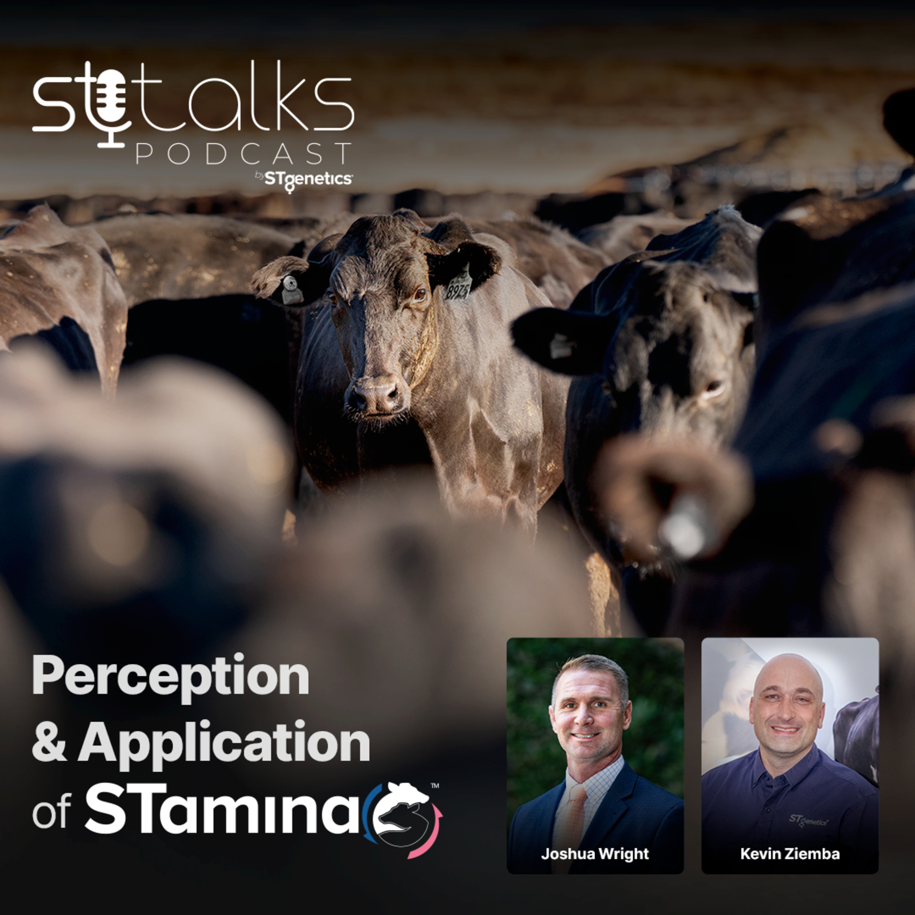 STtalks #207 - Perception & Application of STamina with Kevin Ziemba and Joshua Wright  episode artwork