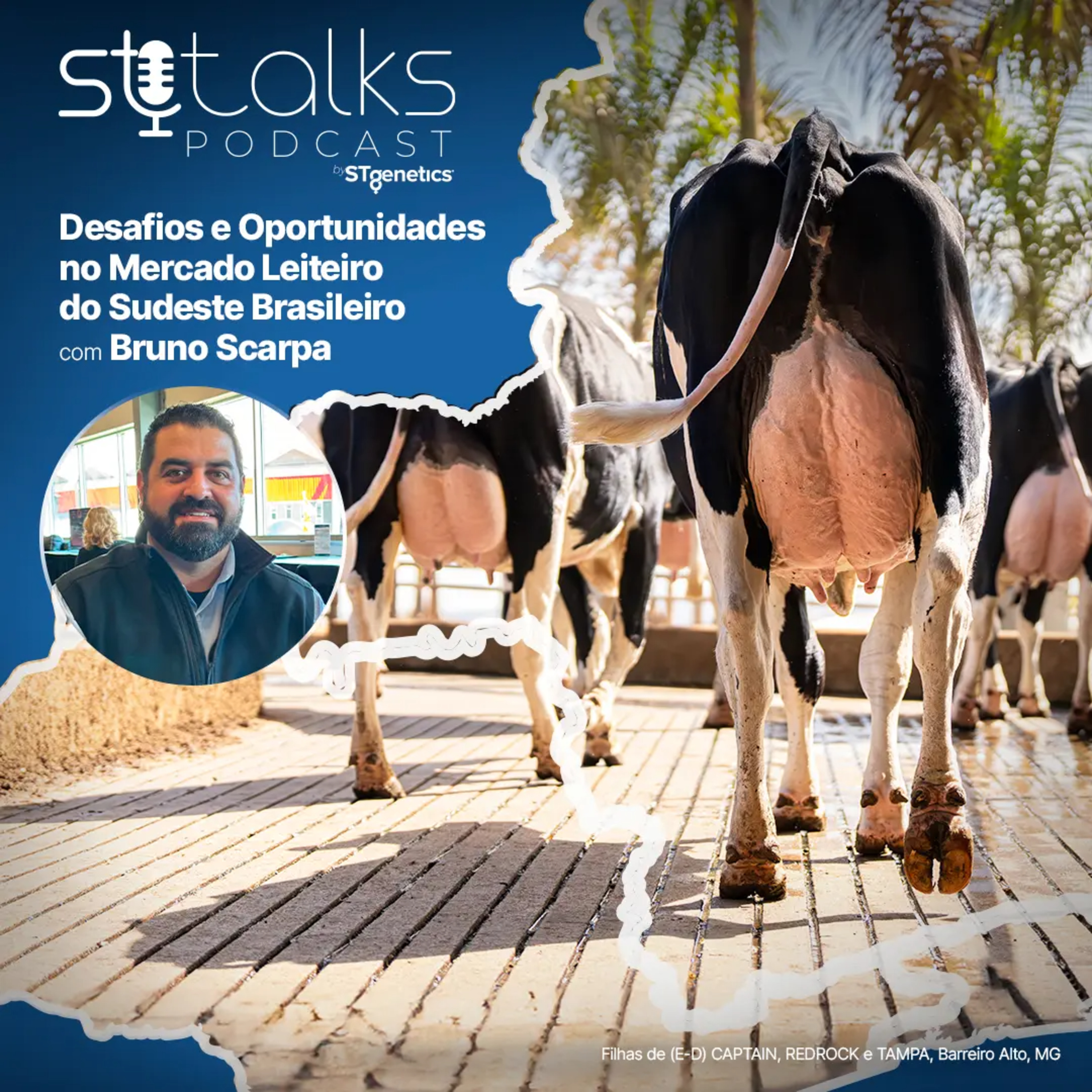 STtalks #229 - Desafios e Oportunidades no Mercado Leiteiro do Sudeste Brasileiro com Bruno Scarpa episode artwork