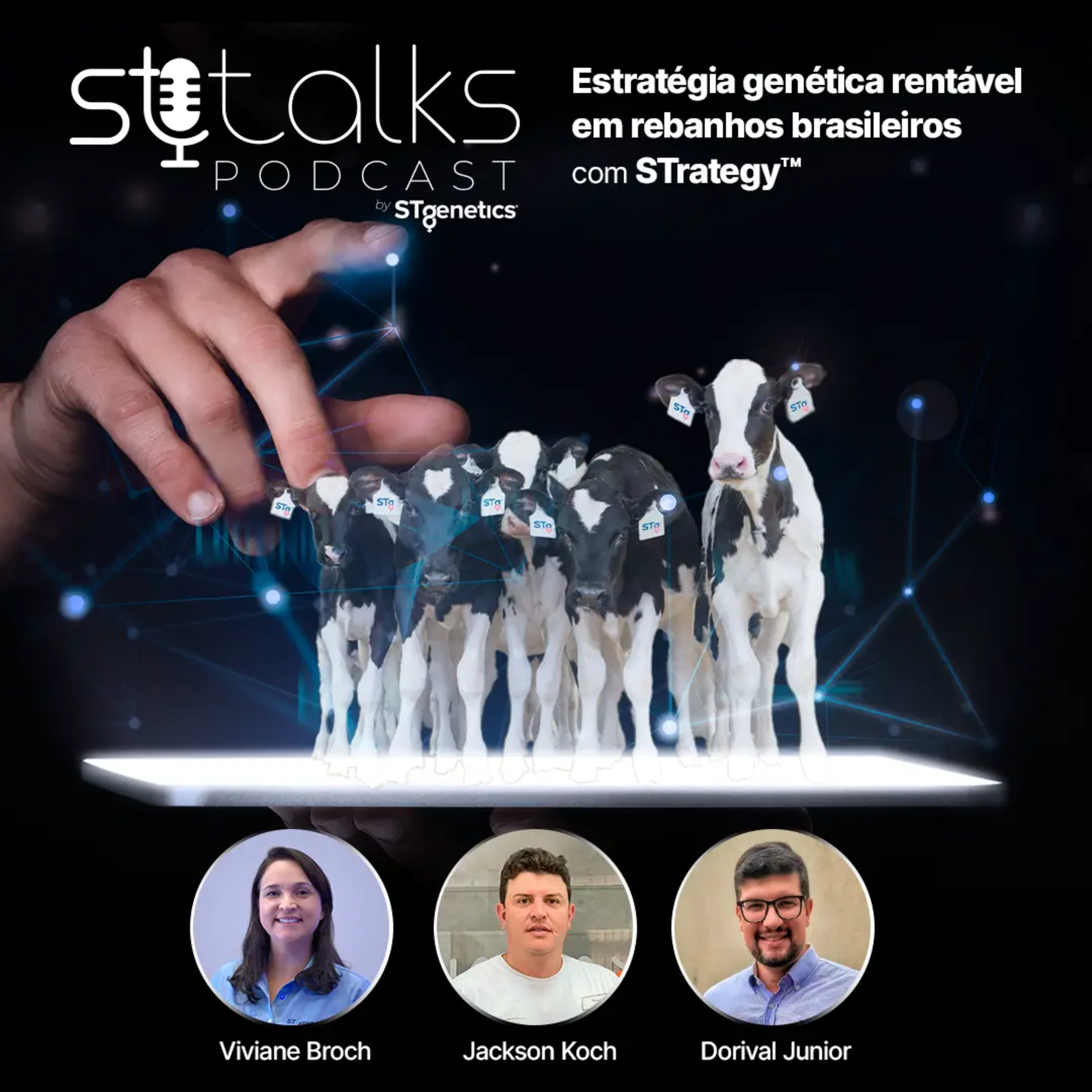 STtalks #231 - Estratégia genética rentável em rebanhos brasileiros com STrategy™ episode artwork